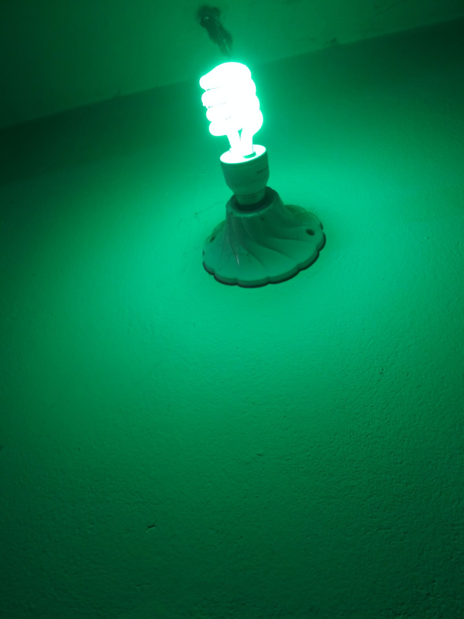 Xiaomi Redmi 4X sample photo. Light, green, electricity photography