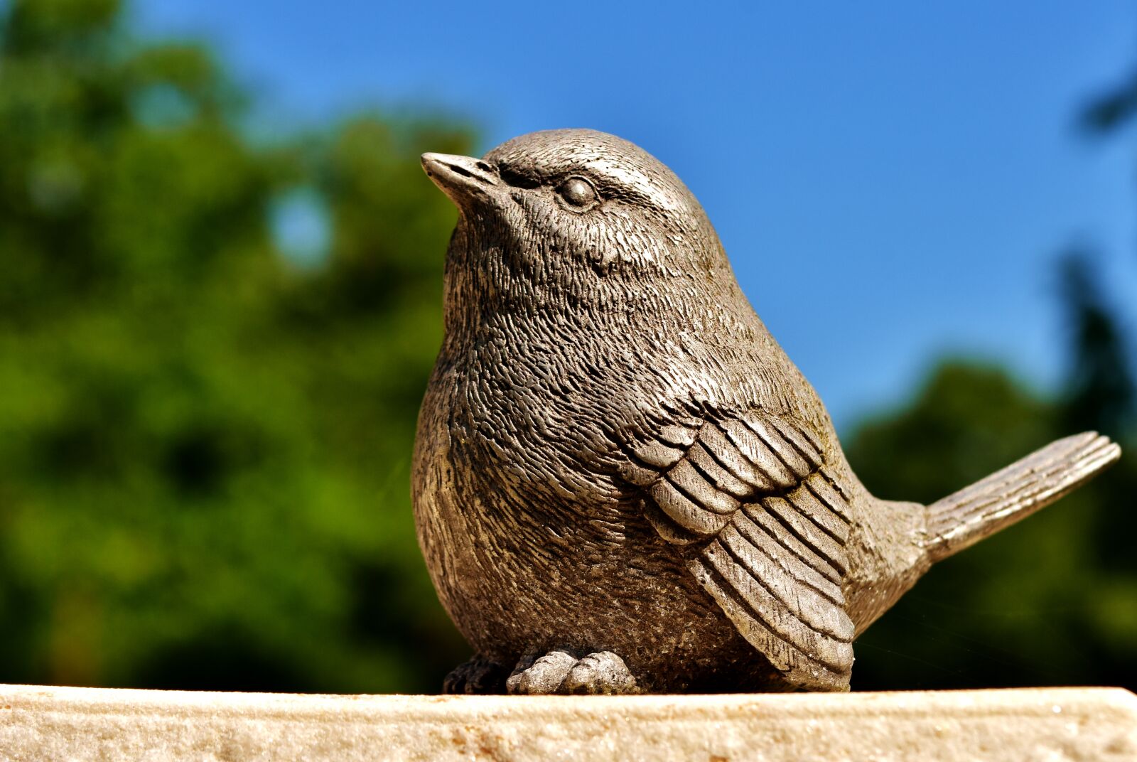 Nikon D7200 sample photo. Bird, metal, iron photography
