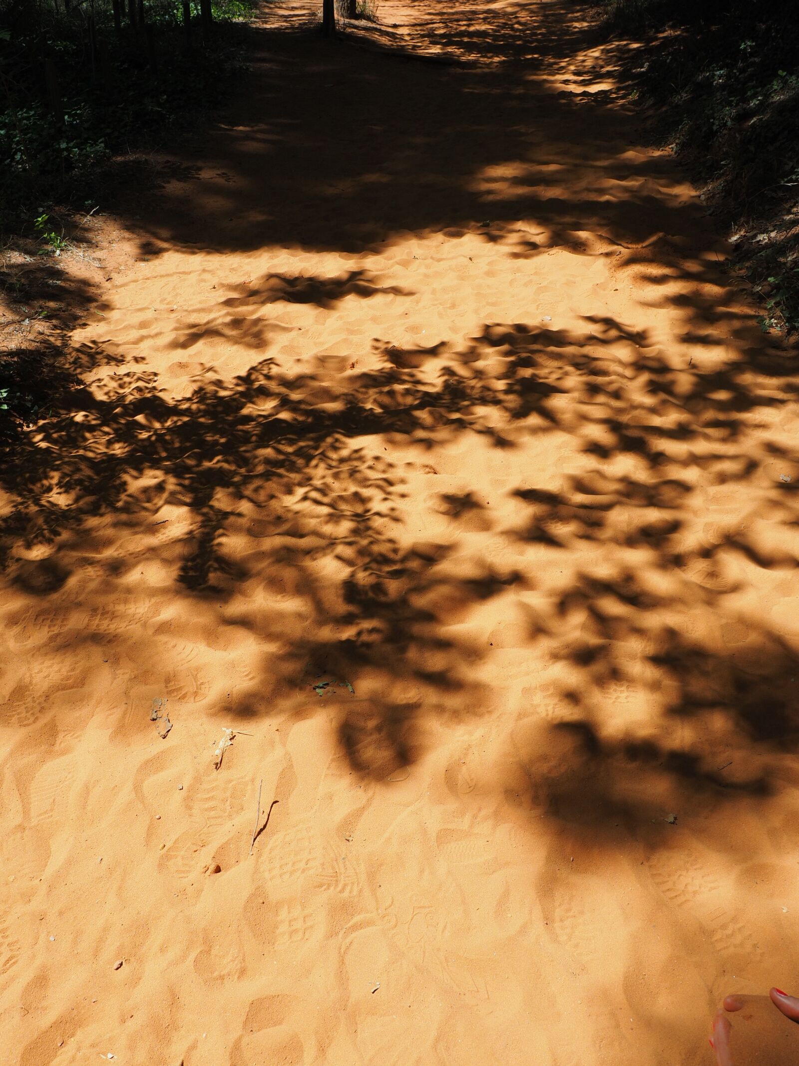 Olympus OM-D E-M1 + Olympus M.Zuiko Digital ED 12-40mm F2.8 Pro sample photo. Traces, sand, tracks in photography