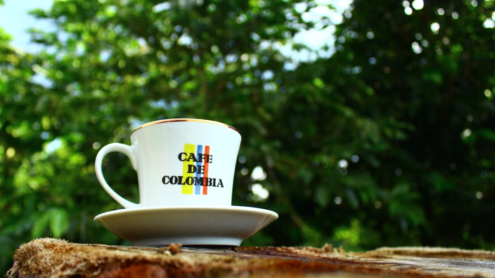 Canon EOS 650D (EOS Rebel T4i / EOS Kiss X6i) sample photo. Kettle, cup, porcelain photography