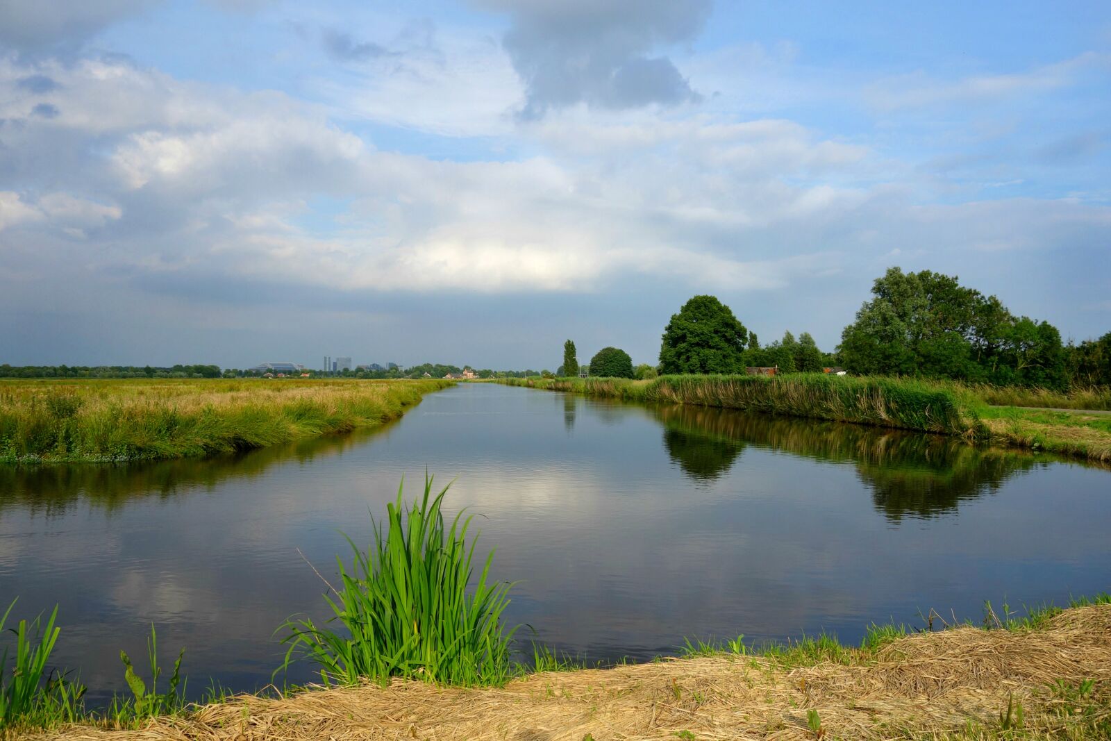 Sony Cyber-shot DSC-RX100 sample photo. Landscape, dutch landscape, rural photography