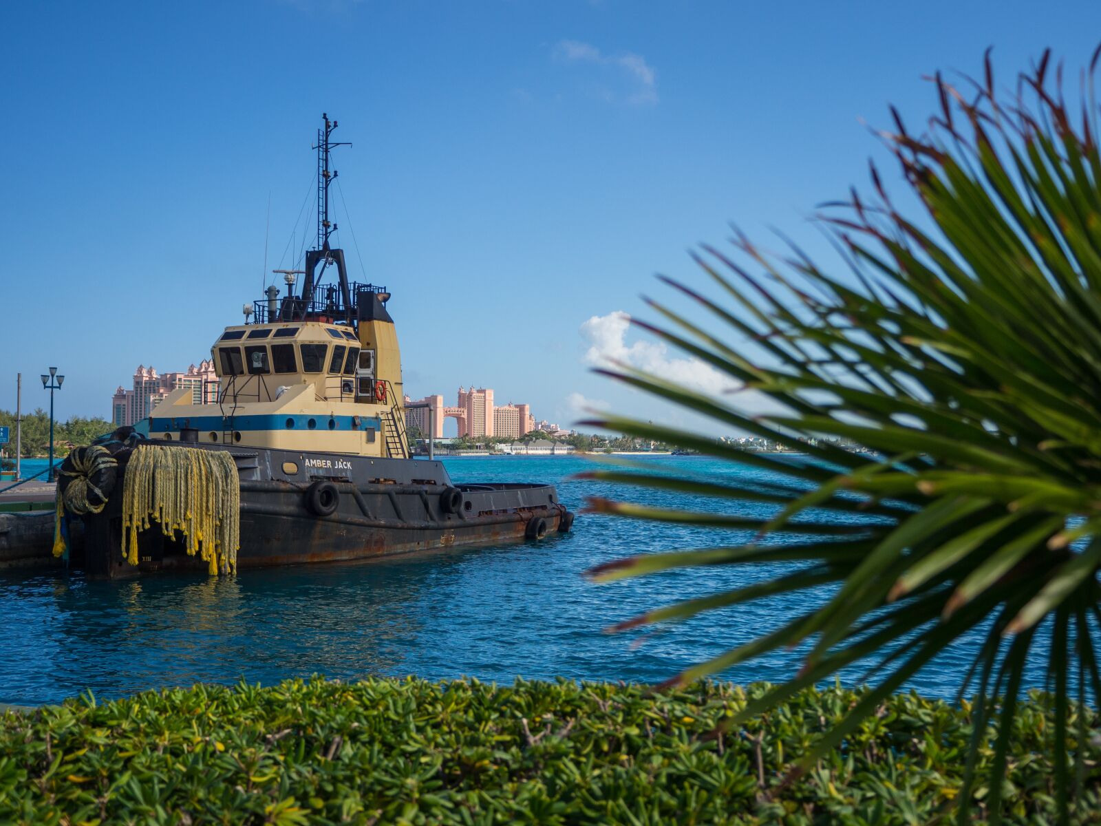 Olympus OM-D E-M10 II sample photo. Tug boat, bahamas, water photography