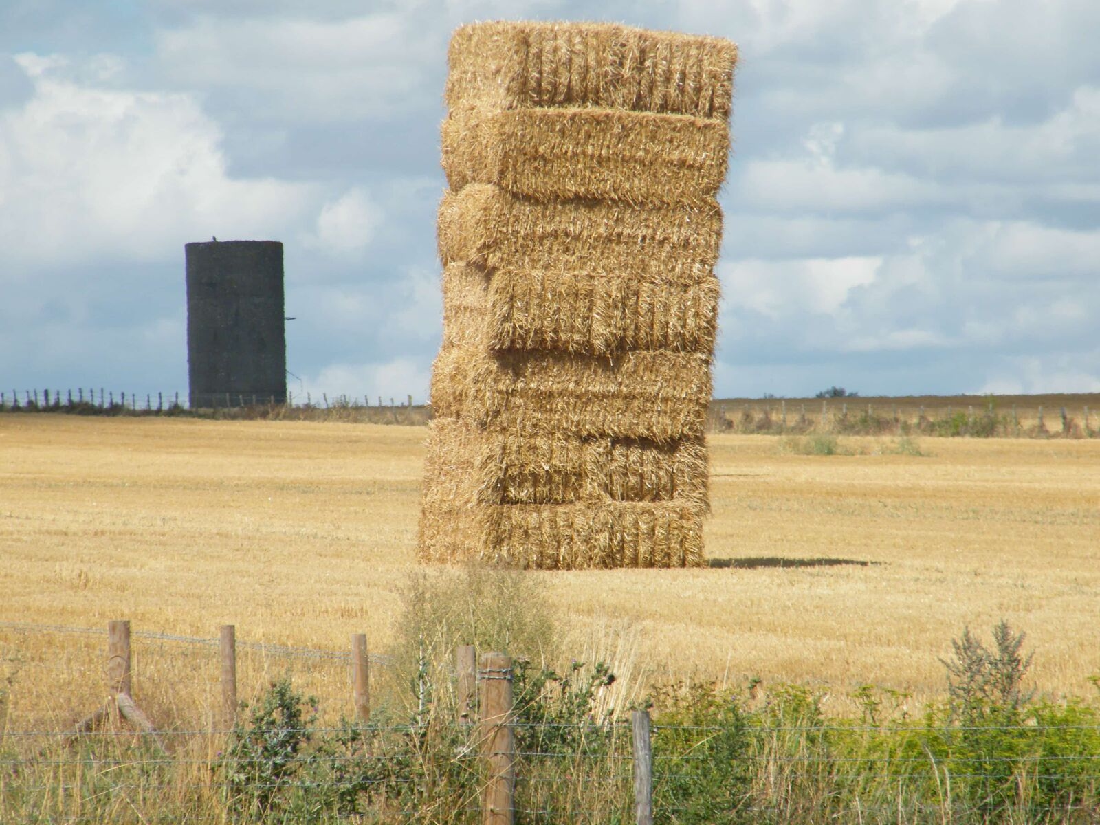 Fujifilm FinePix S2000HD sample photo. Farmland, hay field, haystack photography