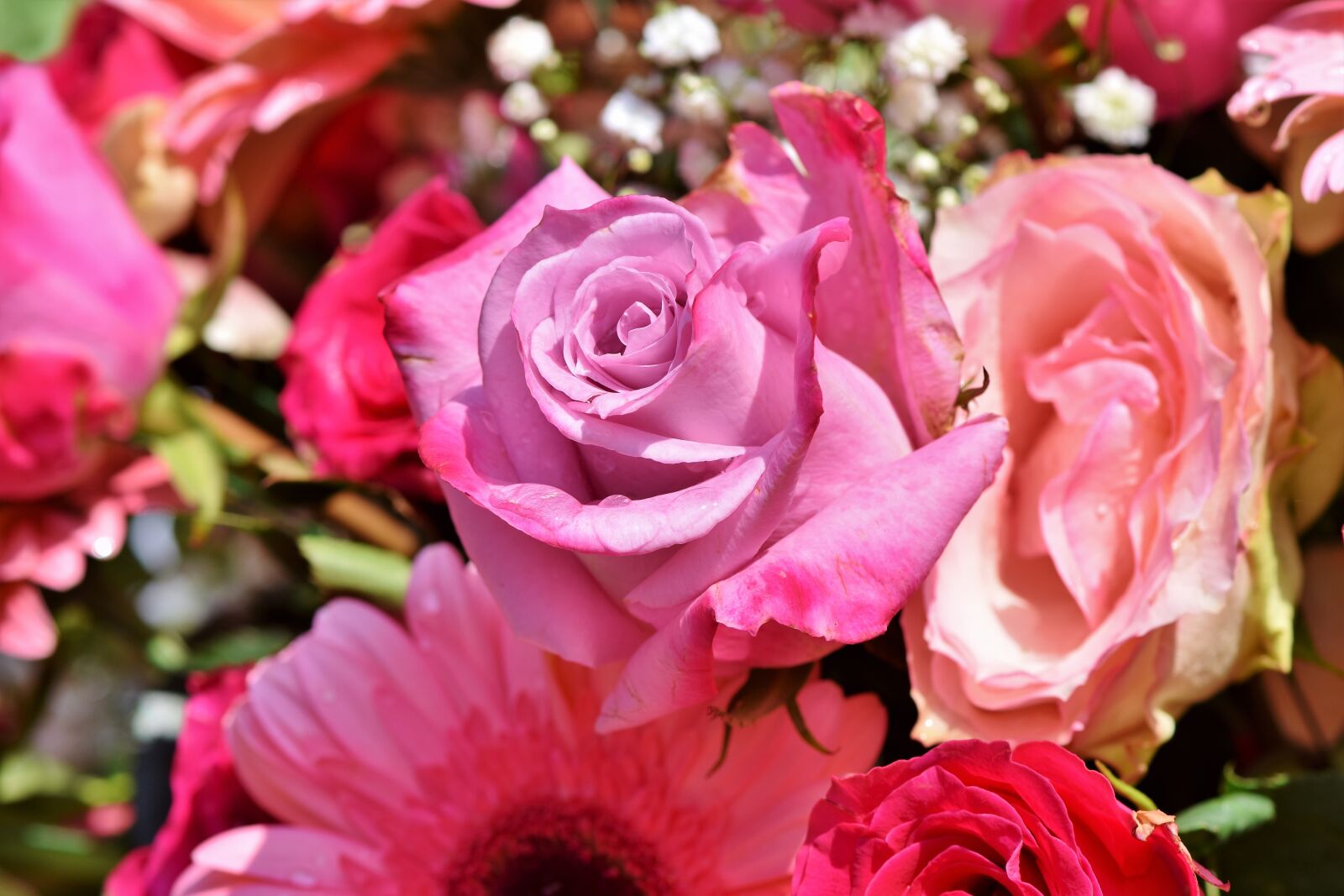 Nikon D7200 sample photo. Bouquet of roses, bouquet photography