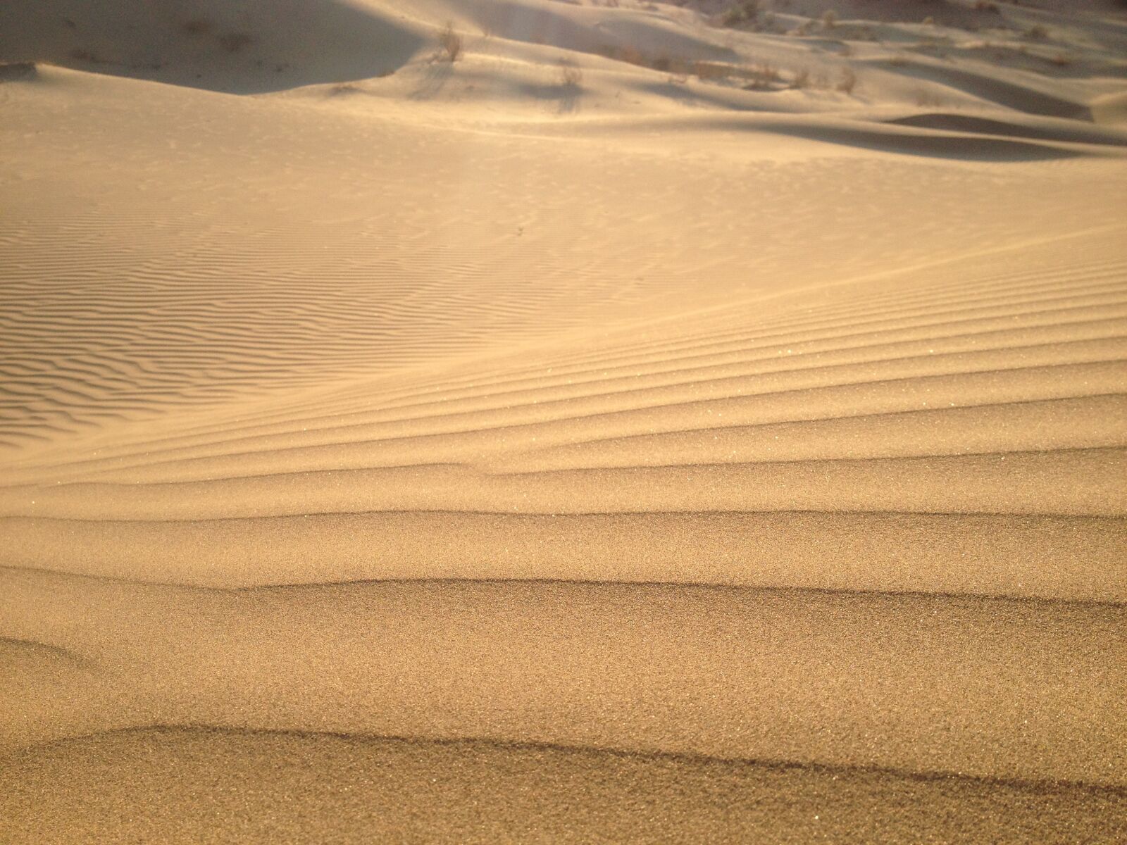 iPhone 4S back camera 4.28mm f/2.4 sample photo. Desert, india, nature sky photography