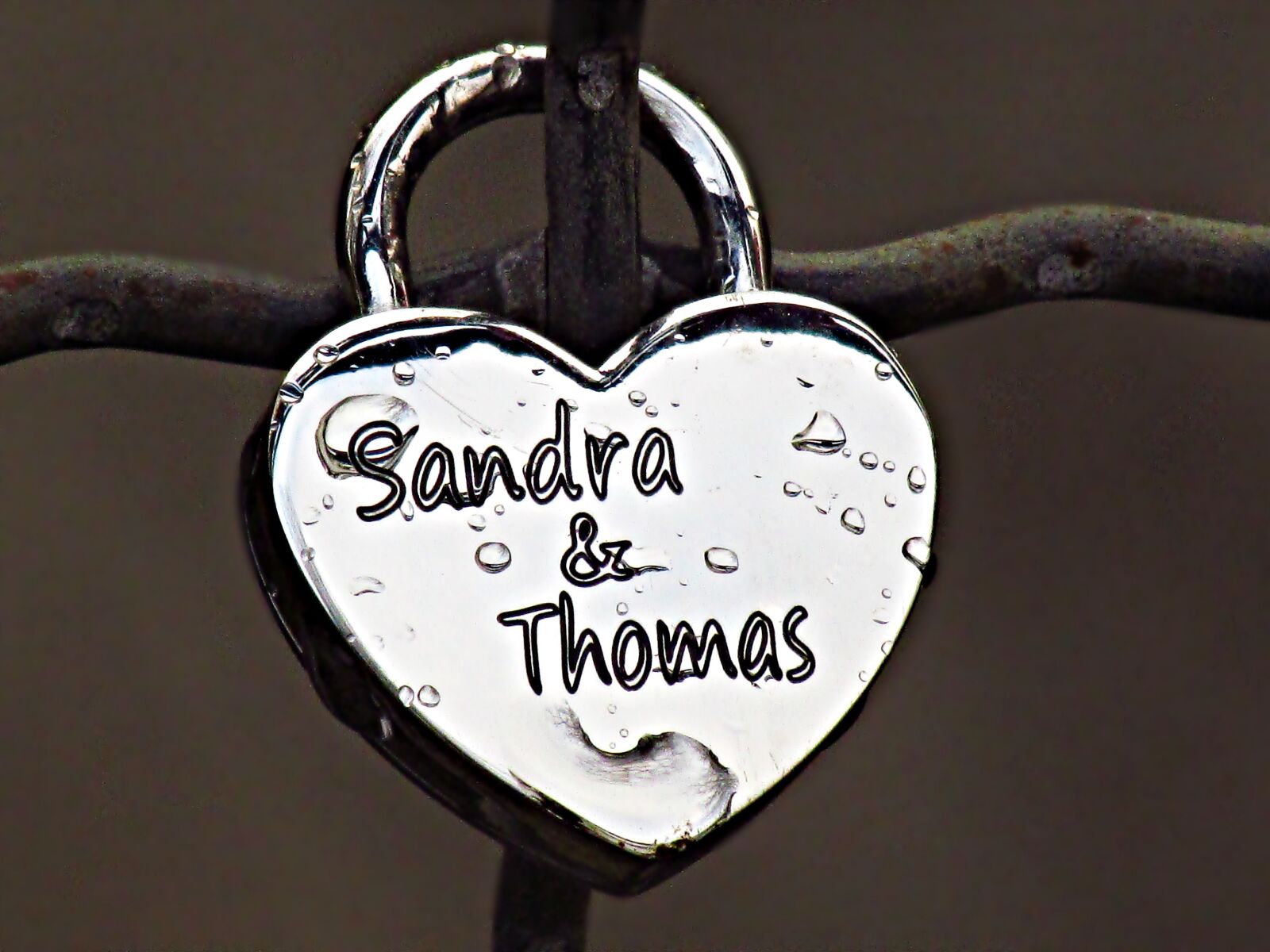 Canon PowerShot SX30 IS sample photo. Love, relationship, by wlodek photography