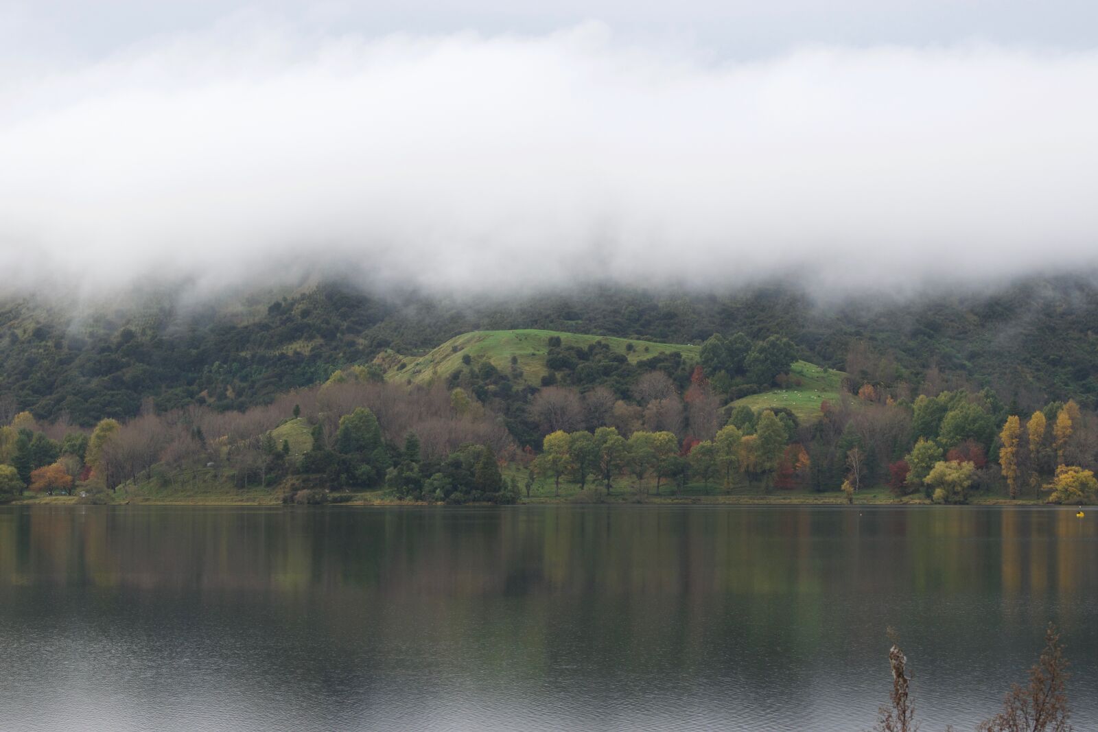 Nikon D5300 sample photo. Nature, autumn, lake photography