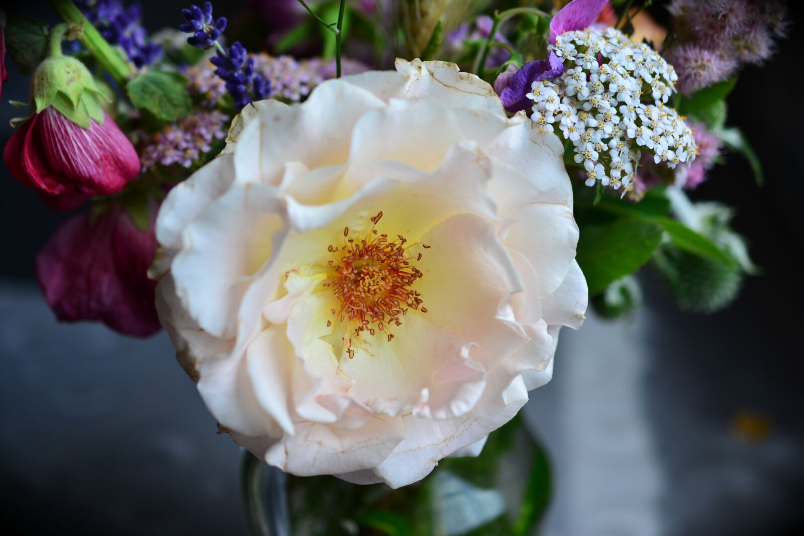 Nikon D5200 sample photo. Rose, blossomed, pistil photography