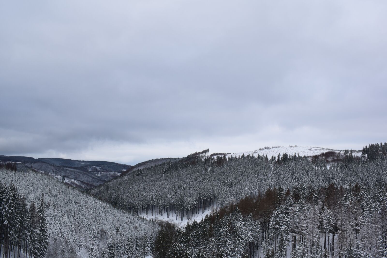 Nikon D3300 sample photo. Snow, forest, winter photography