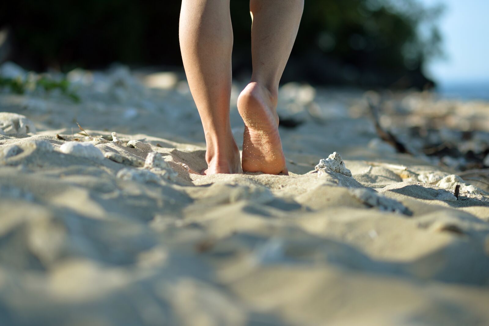 Nikon Df sample photo. Beach, sea, nature photography