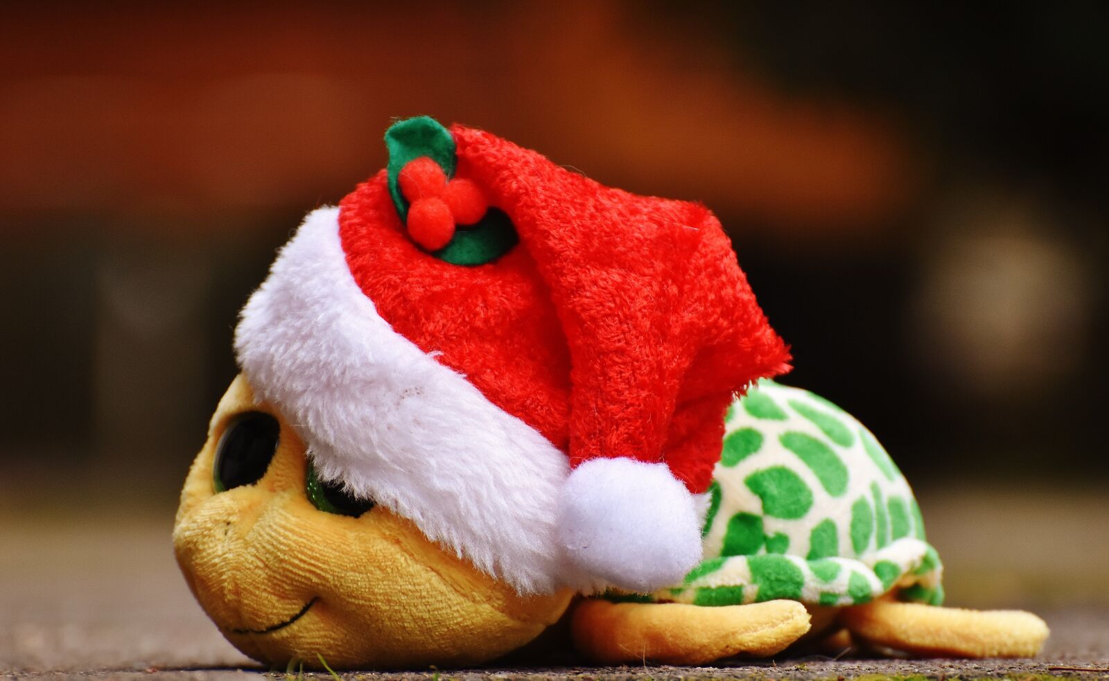 Nikon D7200 sample photo. Christmas, turtle, stuffed animal photography