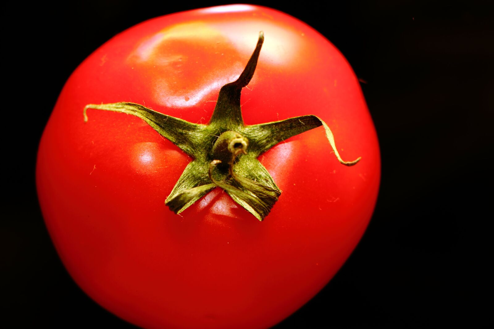 Canon EF-S 18-135mm F3.5-5.6 IS STM sample photo. Tomato, vegetable, food photography
