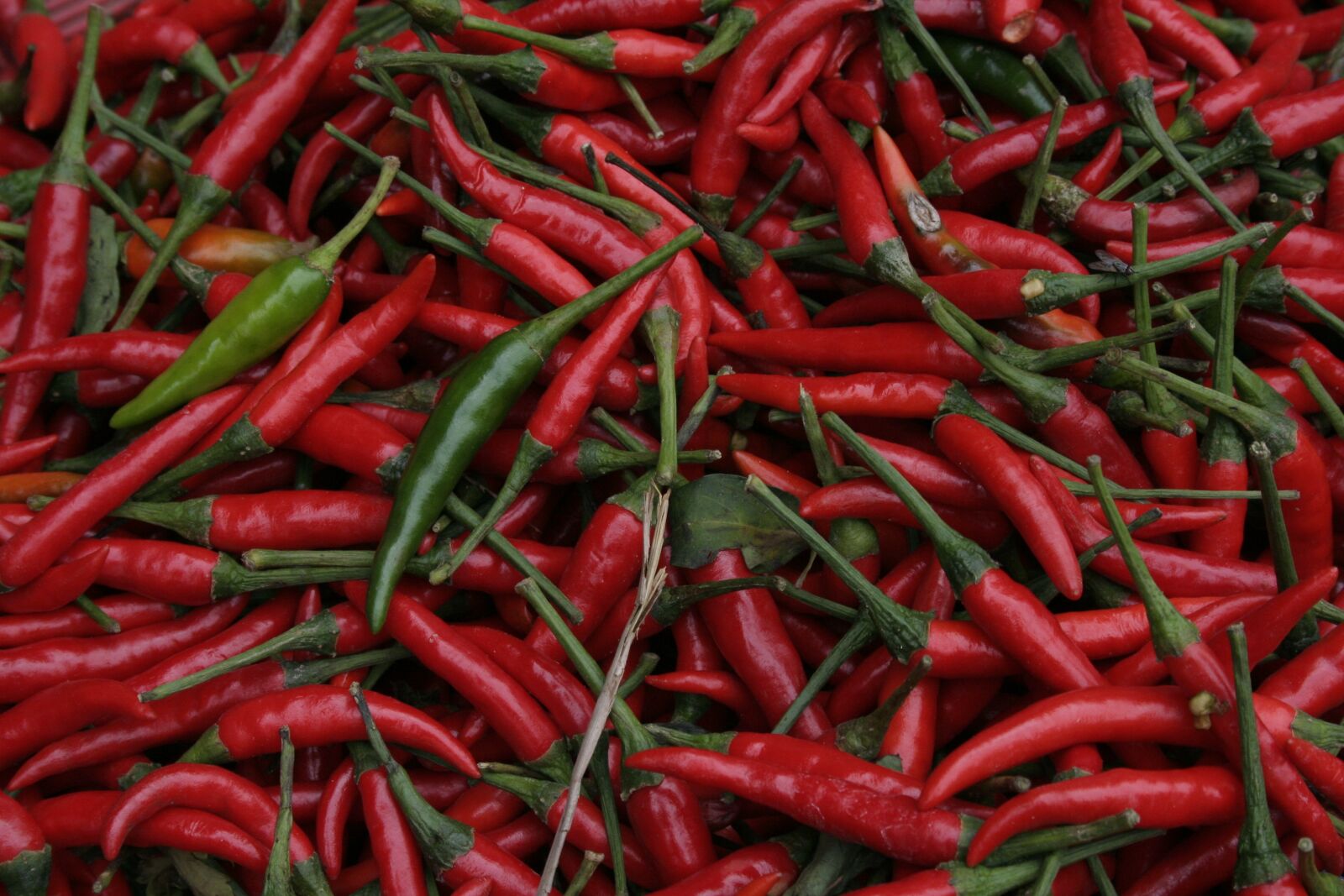 Canon EOS 350D (EOS Digital Rebel XT / EOS Kiss Digital N) sample photo. Chilli, pods, market photography