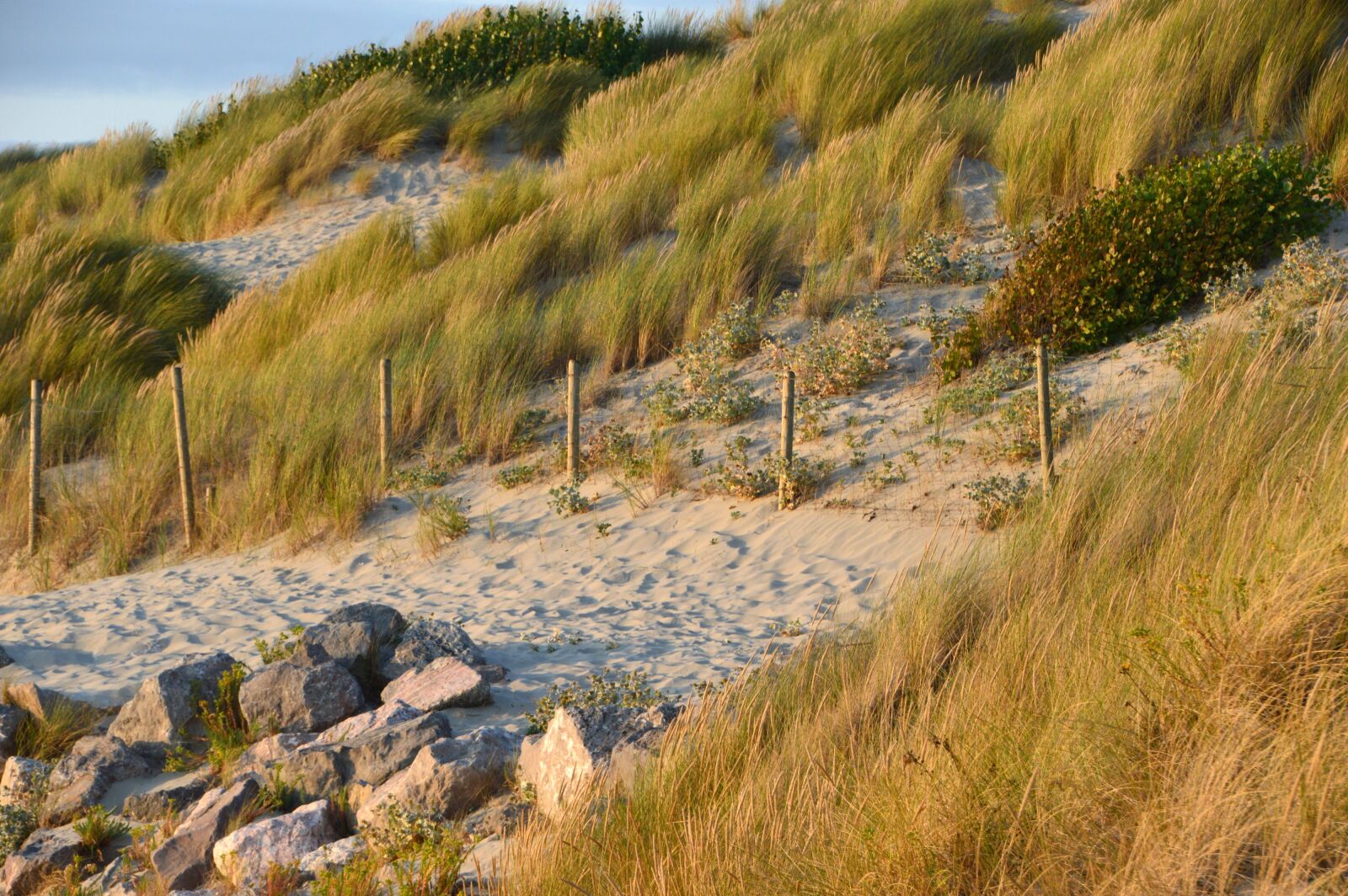 Nikon D3200 sample photo. Sea, beach, stella beach photography
