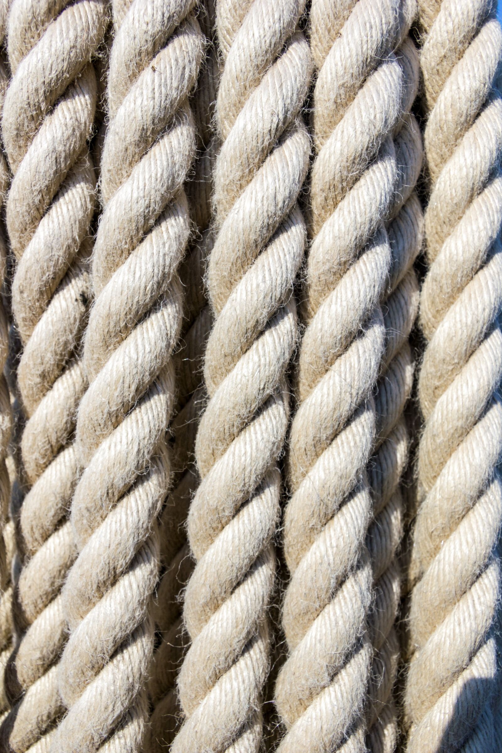Canon EF-S 17-85mm F4-5.6 IS USM sample photo. Rope, twist, fiber photography
