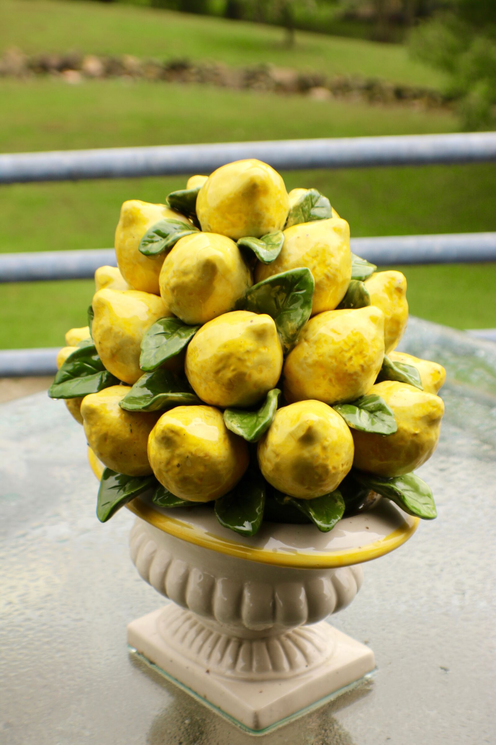 Canon EOS 750D (EOS Rebel T6i / EOS Kiss X8i) sample photo. Lemon, vase, color photography