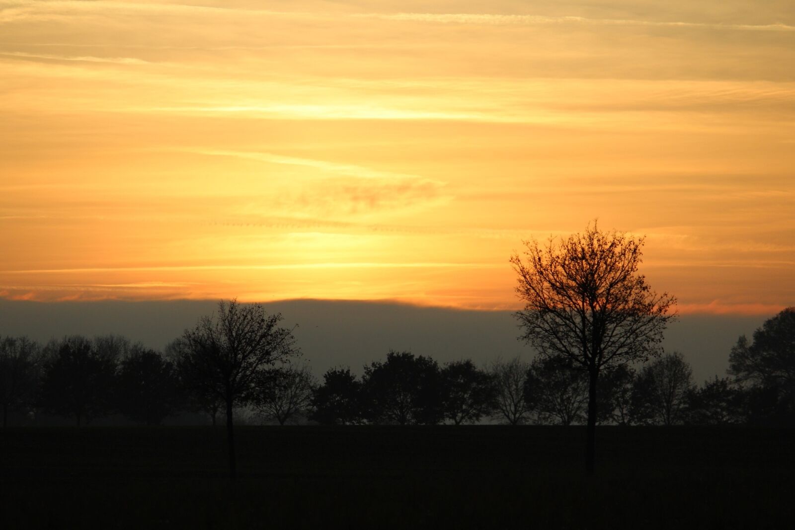 Canon EF-S 55-250mm F4-5.6 IS II sample photo. Nature, sun, sky photography