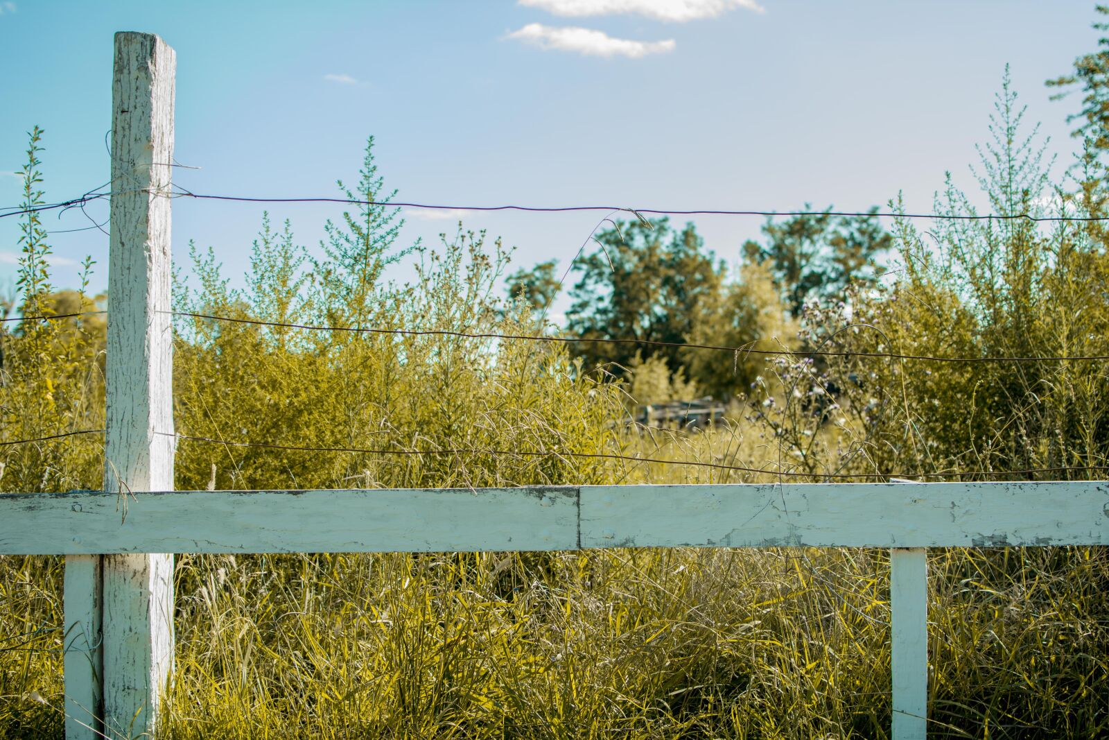 Nikon D7100 sample photo. Sky, sun, landscape photography