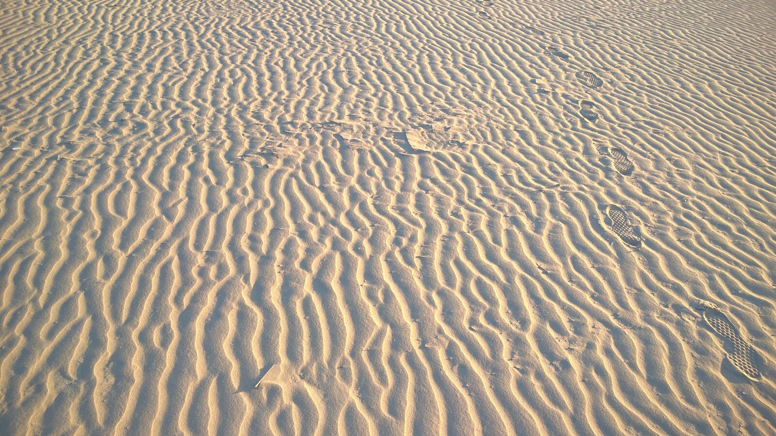 Nokia Lumia 830 sample photo. Alone, beach, sand, steps photography