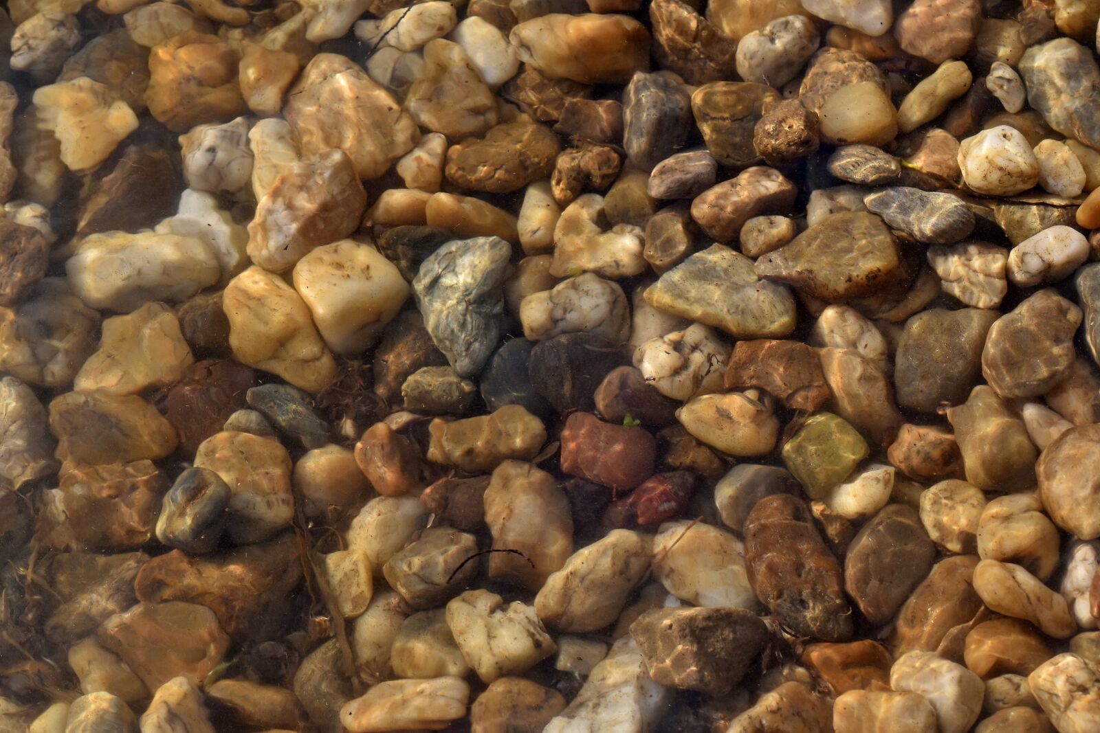 Nikon D5500 sample photo. Riverbank, transparent, underwater, smooth photography