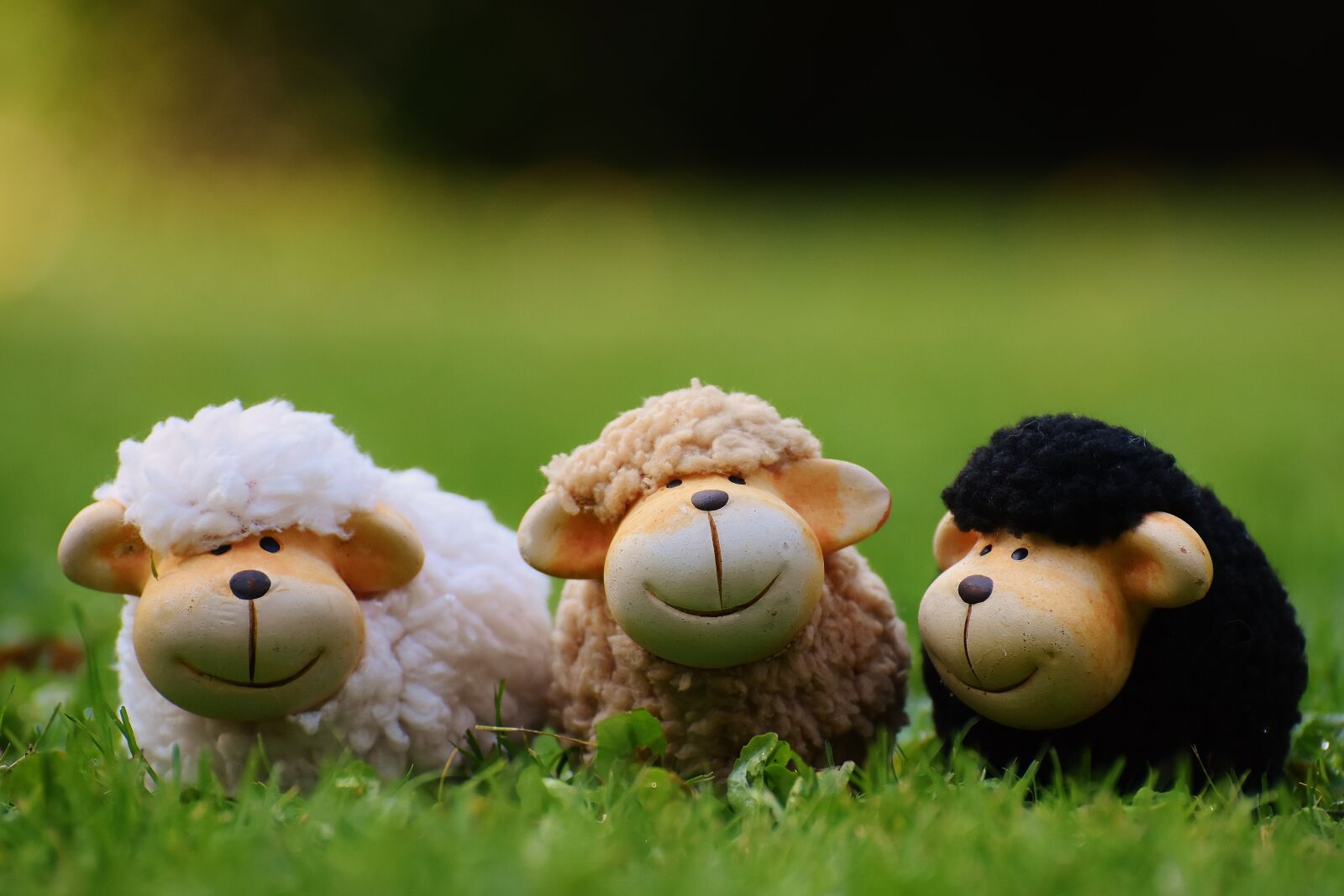 Nikon D7200 sample photo. Sheep, meadow, animals photography