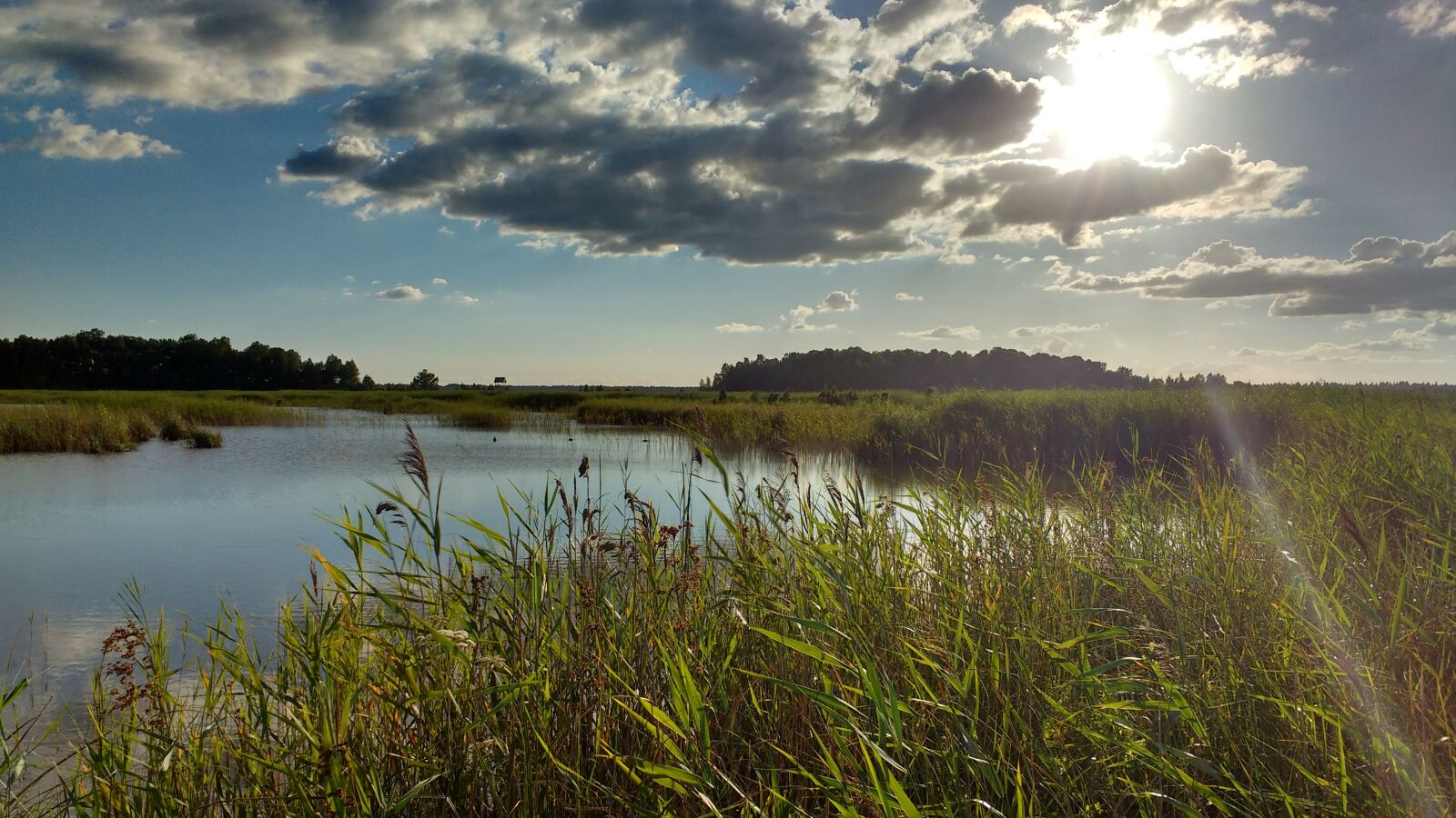 Motorola MotoG3 sample photo. Latvia, lake, swamp photography