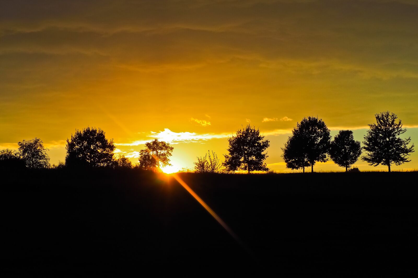 Olympus OM-D E-M10 sample photo. Sunset, trees, landscape photography