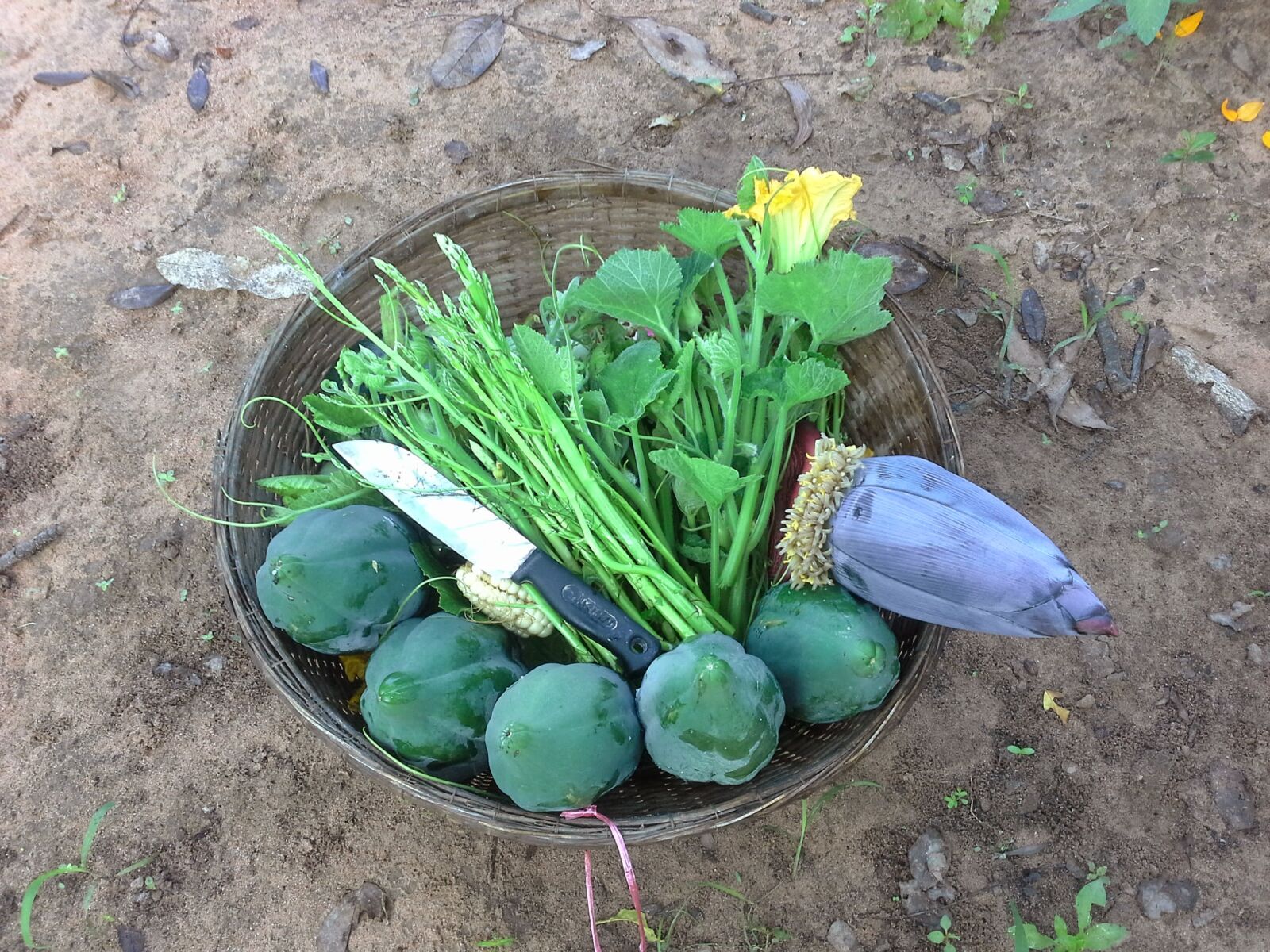 Samsung Galaxy Note 10.1 sample photo