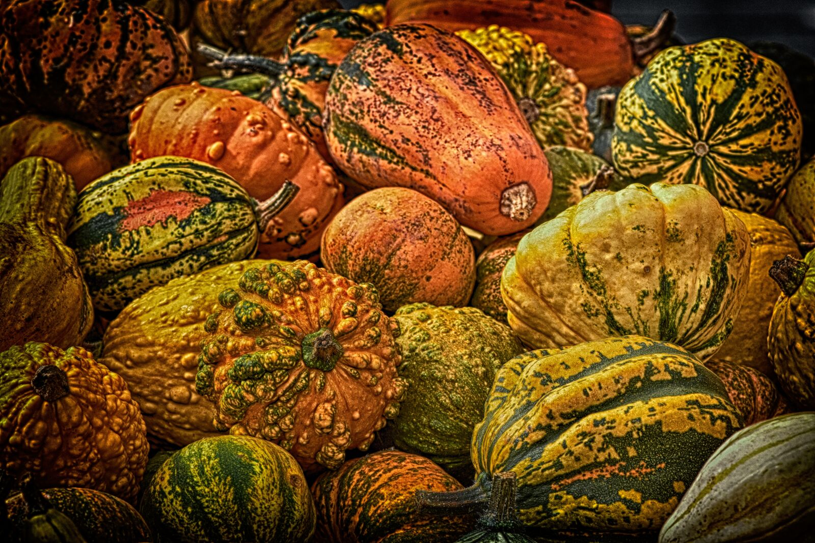 Nikon D7200 sample photo. Pumpkins, colorful, autumn photography
