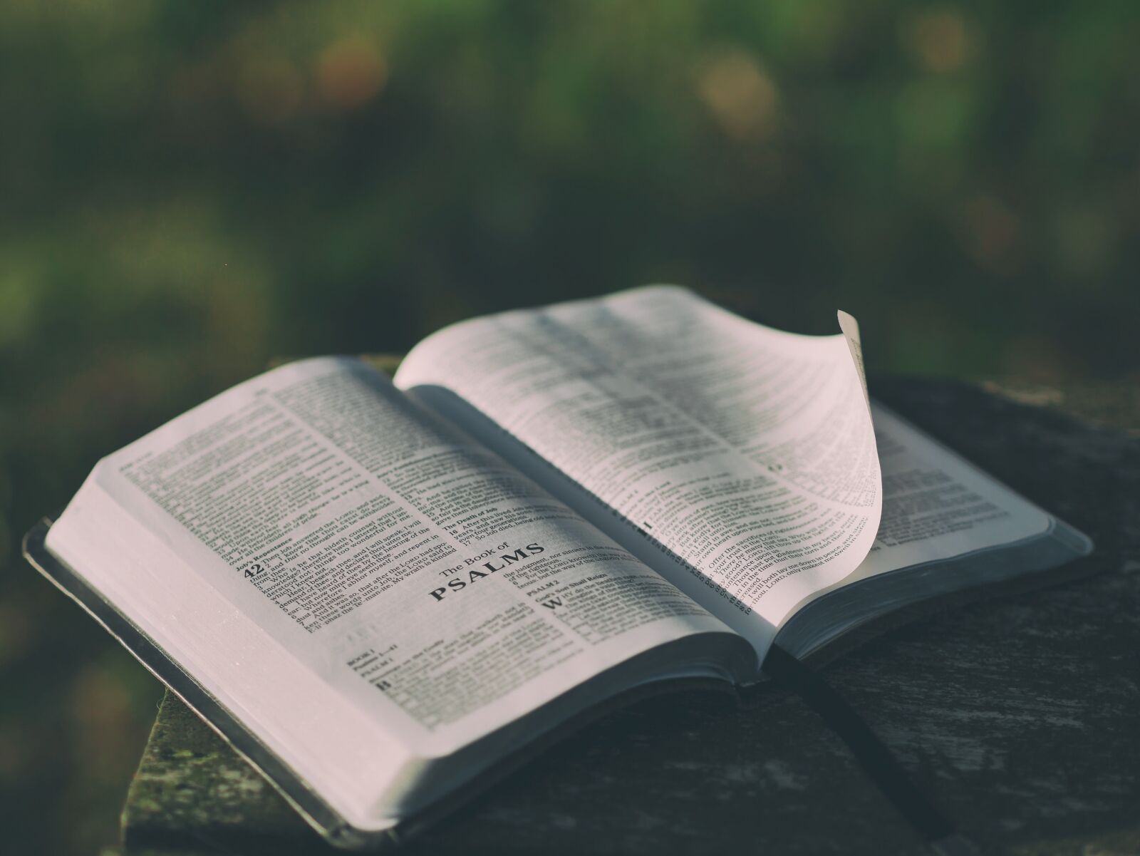 Panasonic Lumix DMC-GX7 sample photo. Bible, blur, book photography