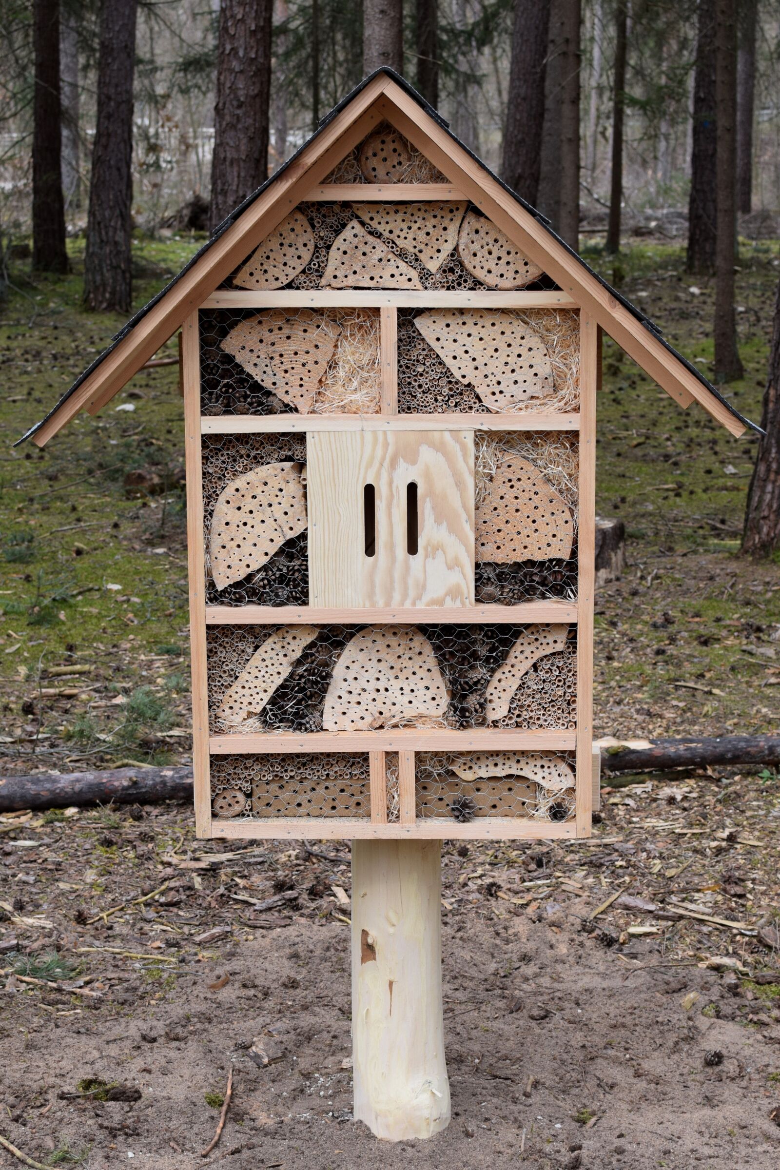 Nikon D5300 sample photo. Insect hotel, insect house photography