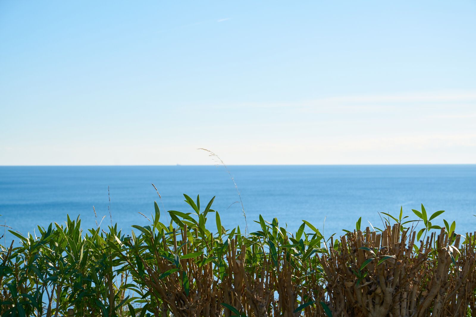 Sony a7R II sample photo. Wave, waves, marine photography