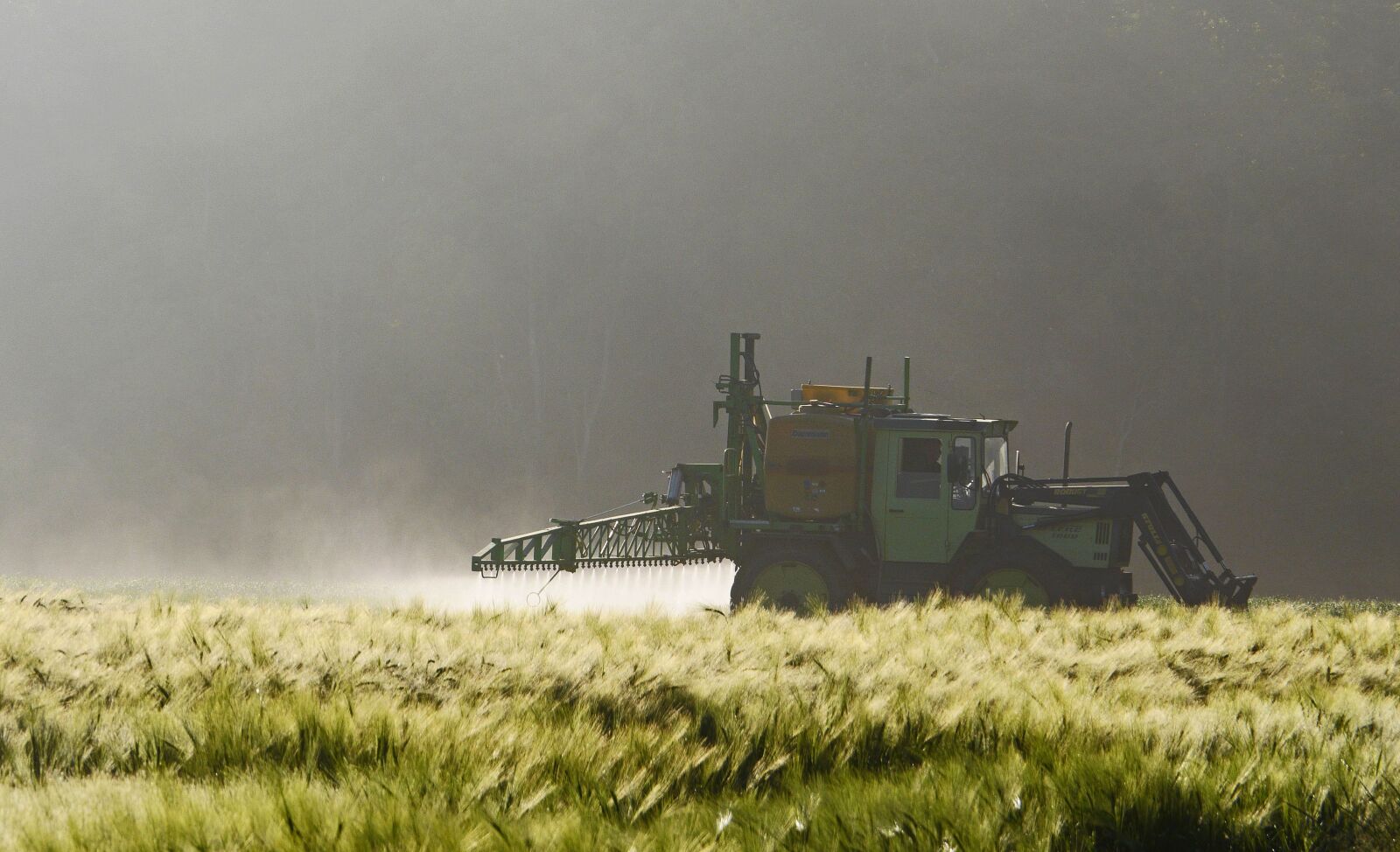 Panasonic Lumix DMC-GH3 sample photo. Agriculture, weed destruction, pest photography