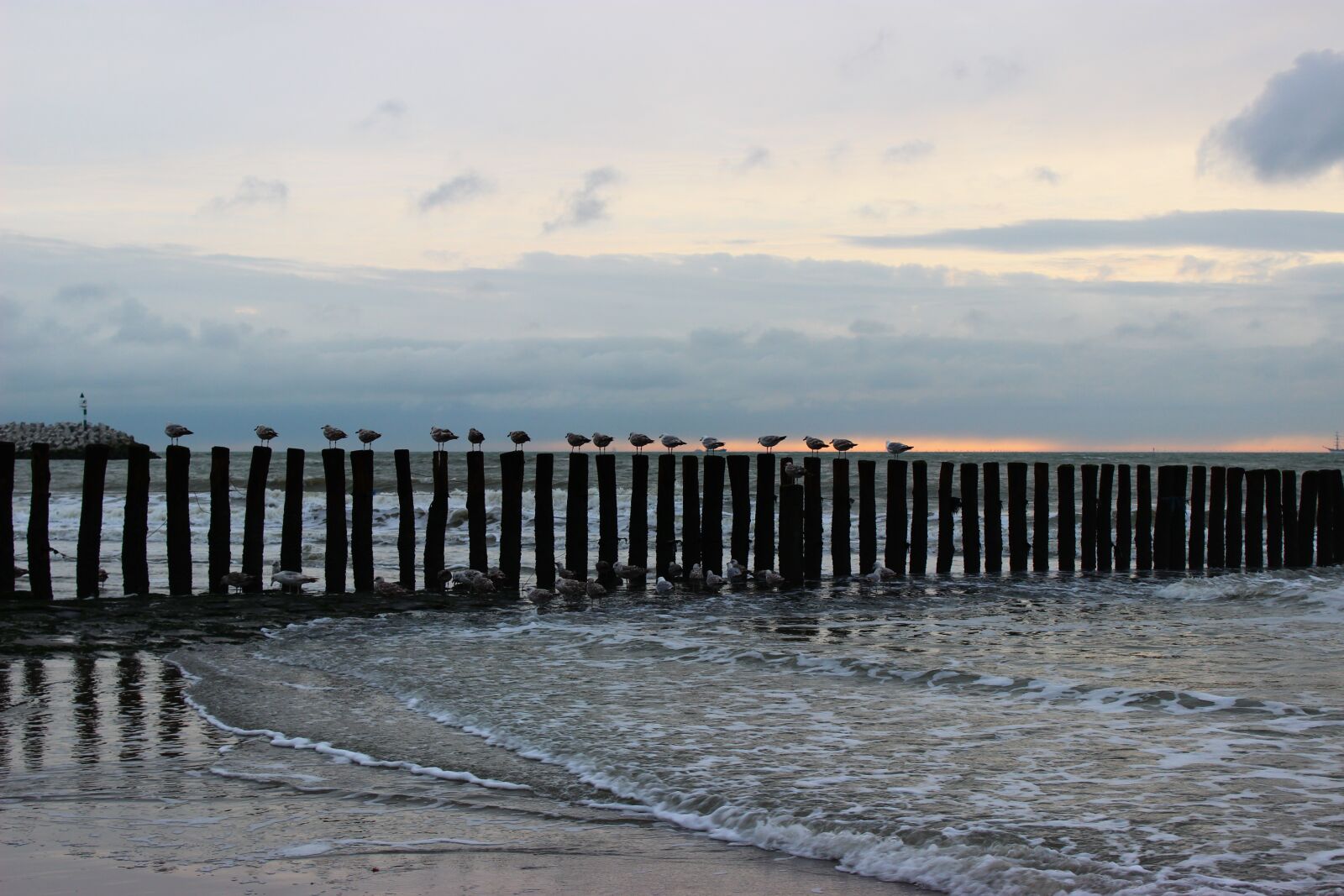 Canon EOS 600D (Rebel EOS T3i / EOS Kiss X5) sample photo. Cadzand-bad, netherlands, holland photography