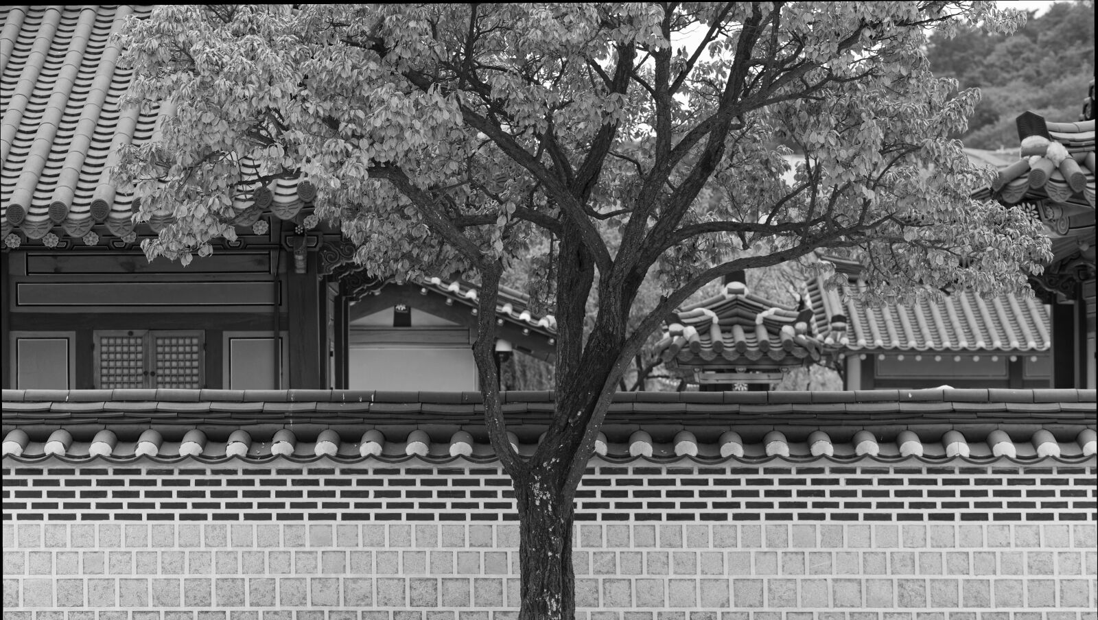Canon EF 85mm F1.8 USM sample photo. Hwaseonghaenggung palace in suwon photography