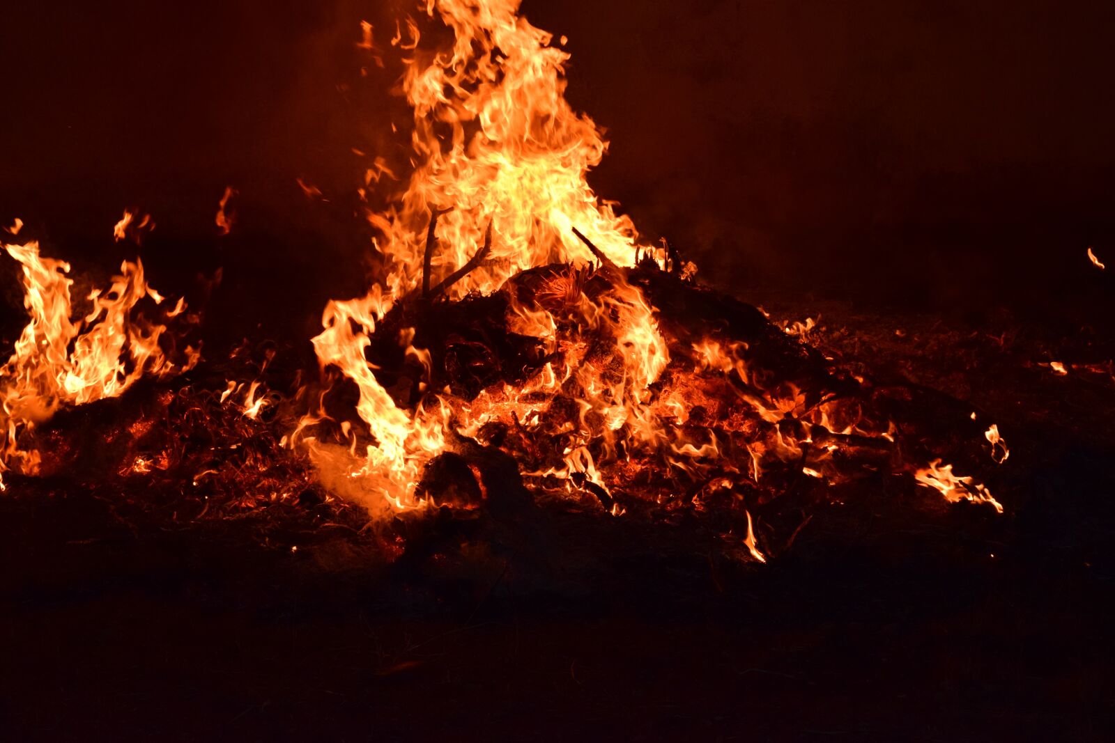 Nikon D3300 sample photo. Fire, flame, burn photography
