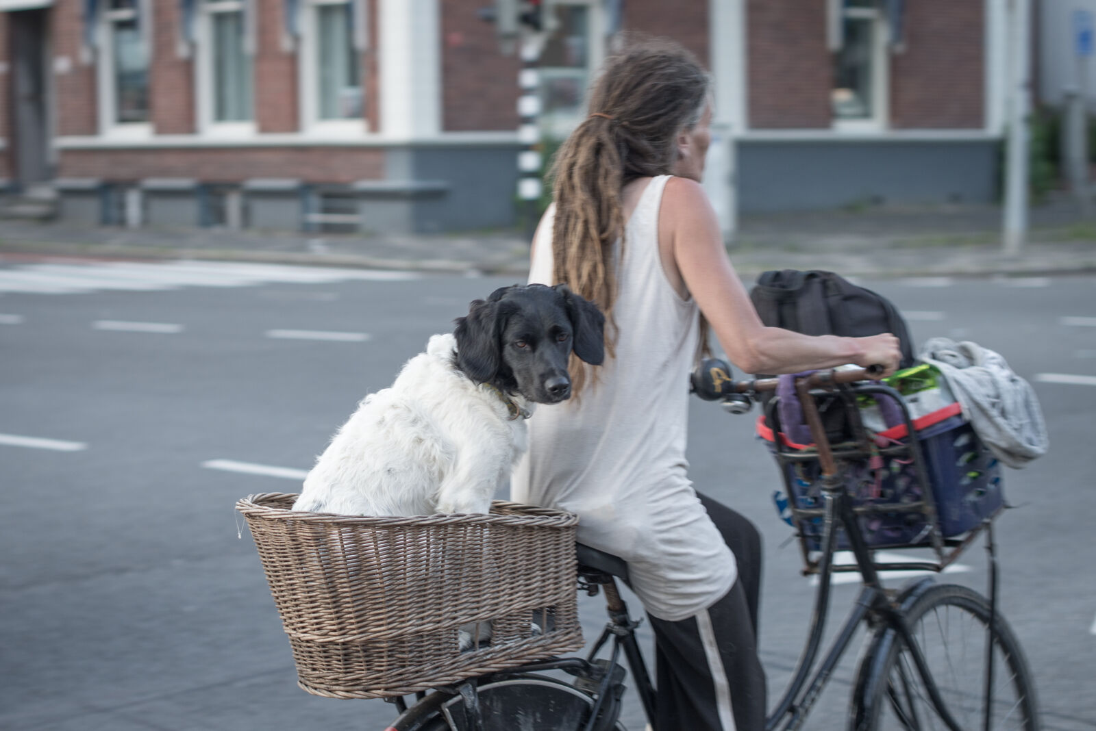 Nikon D600 + Nikon AF-S Nikkor 50mm F1.4G sample photo. Basket, bicycle, bike, cycle photography