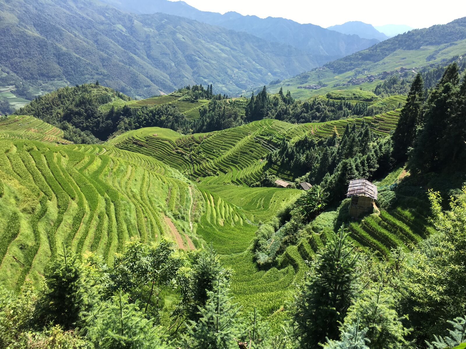 Apple iPhone 6s Plus sample photo. China, guilin, guanxi photography