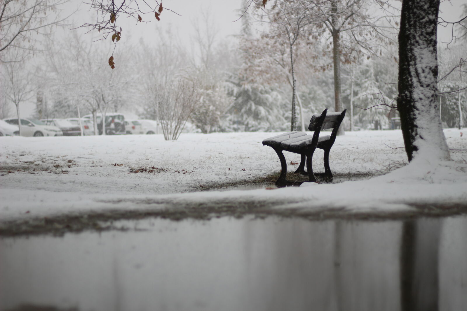 Canon EOS 1200D (EOS Rebel T5 / EOS Kiss X70 / EOS Hi) + Canon EF 50mm F1.8 STM sample photo. Bench, earth, forest, nature photography