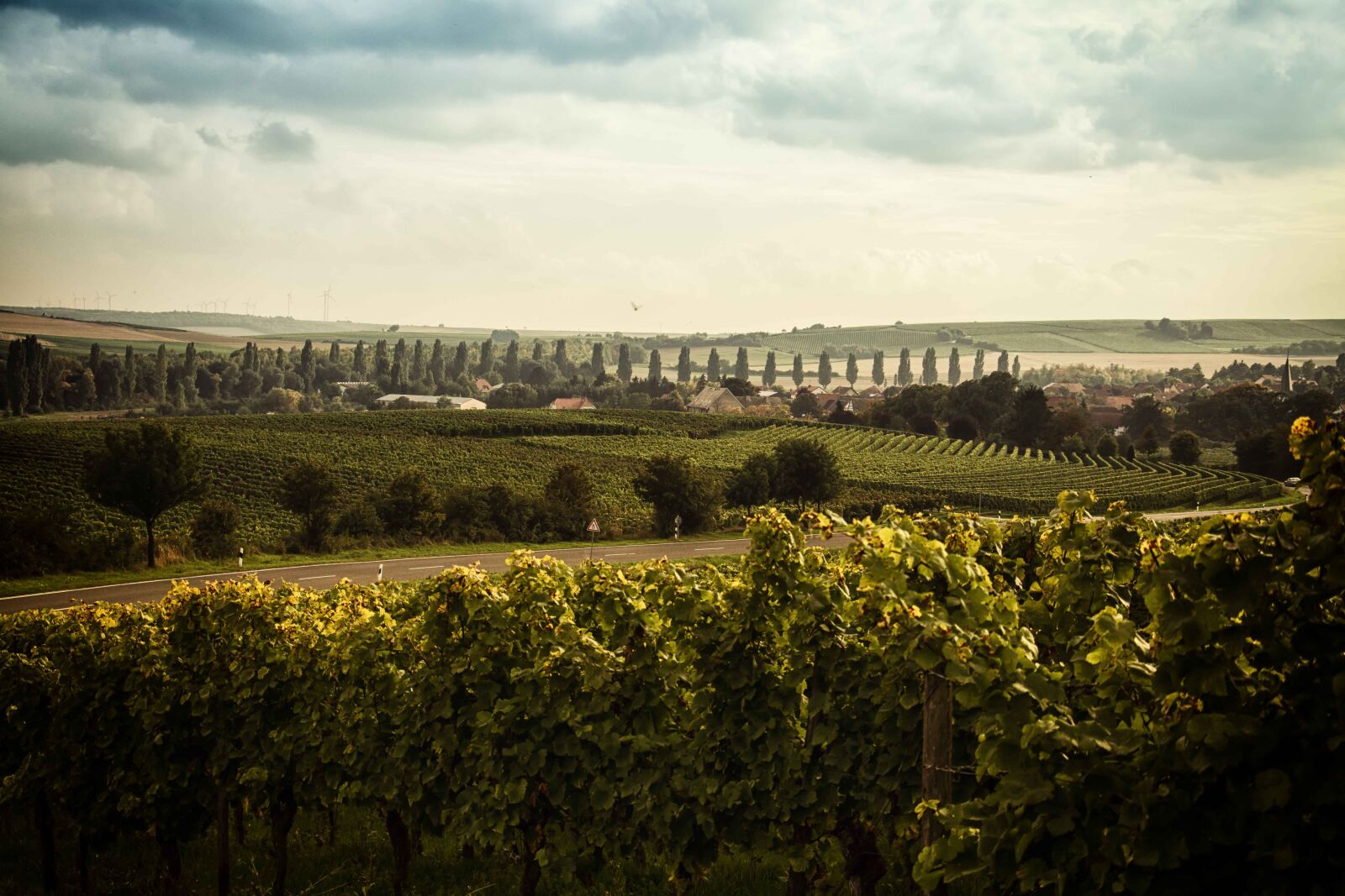 Nikon D7100 sample photo. Landscape, rheinhessen, wine photography