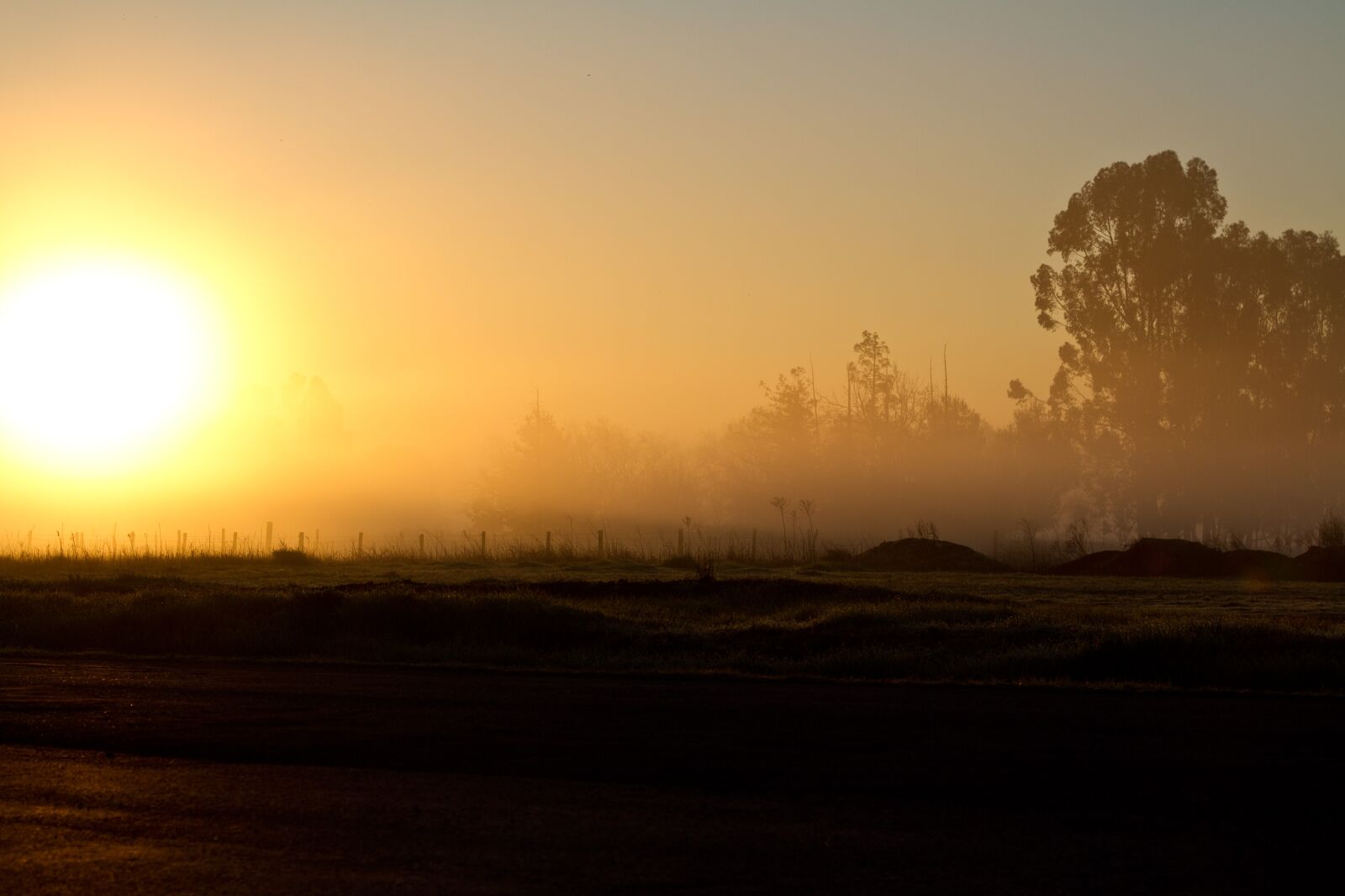 Canon EOS 7D + Canon EF 50mm F1.8 II sample photo. Sunrise, morning, sun photography