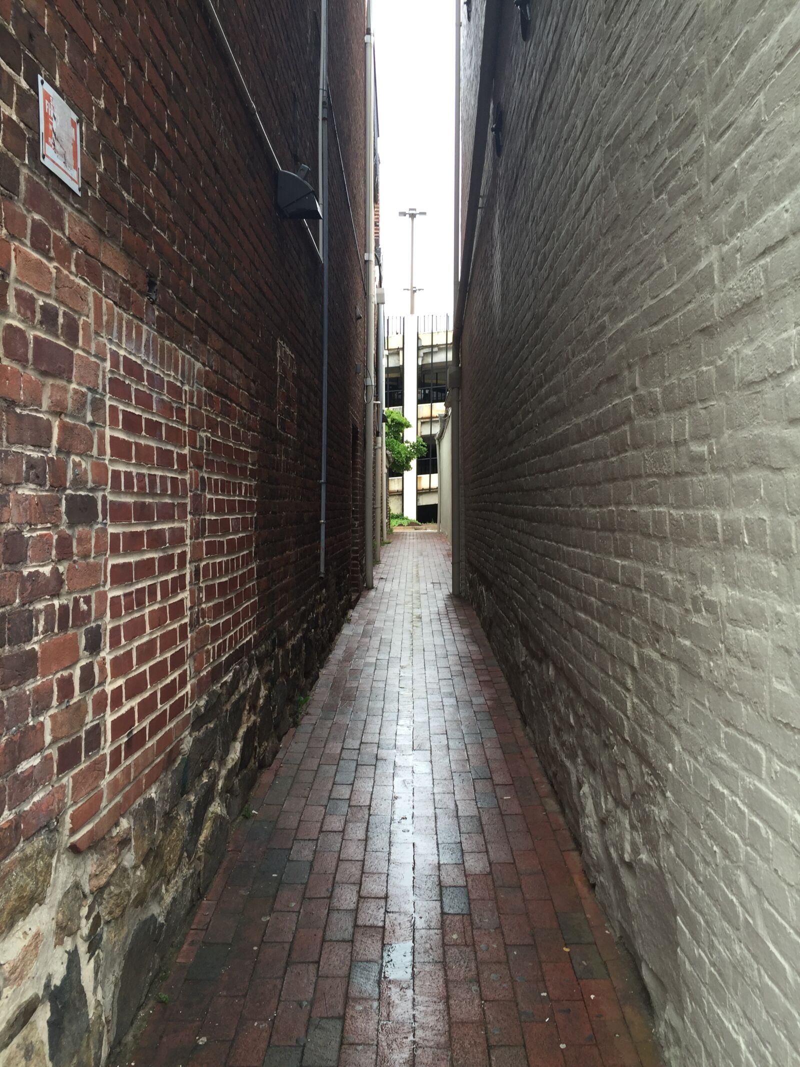 Apple iPhone 6 sample photo. Narrow, passage, narrow path photography
