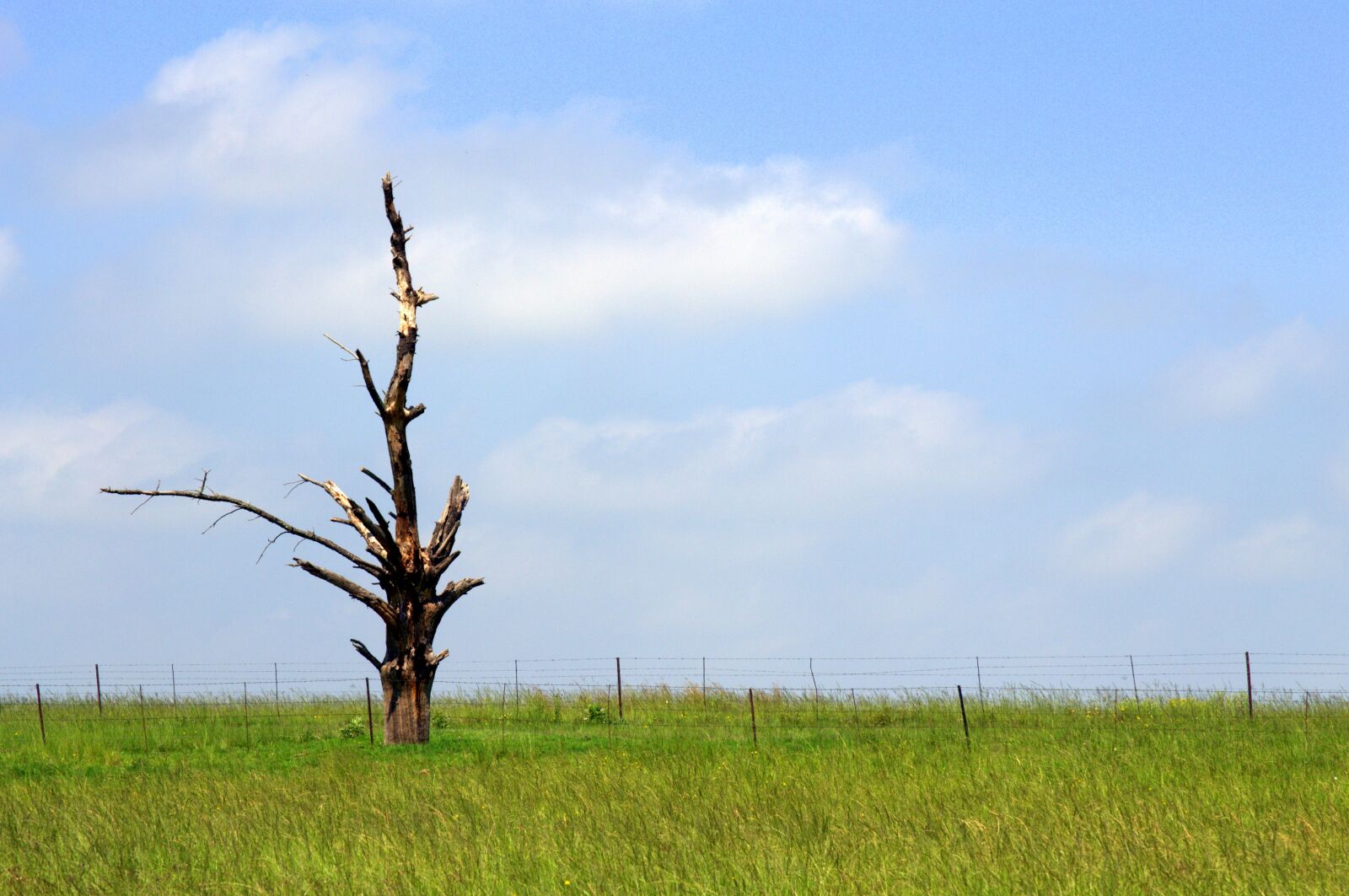 Nikon D3100 sample photo. Landscape, nature, sky photography