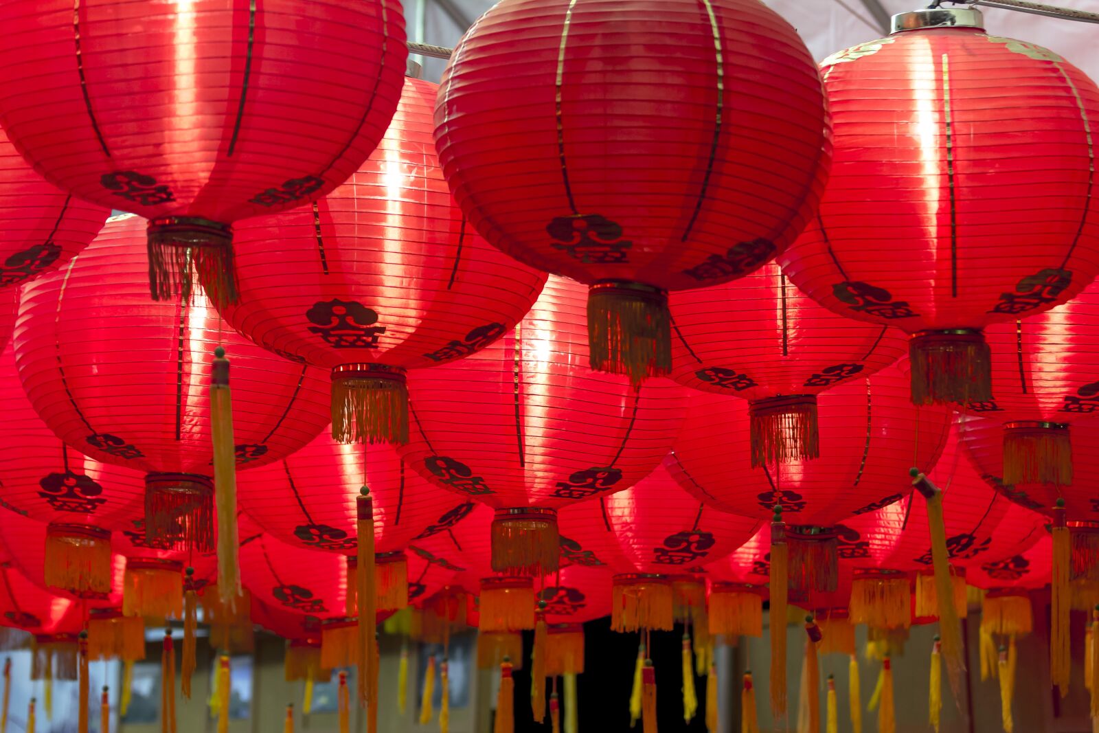 Canon EOS 60D + Canon EF 70-200mm F4L IS USM sample photo. Chinese lanterns, chinese new photography
