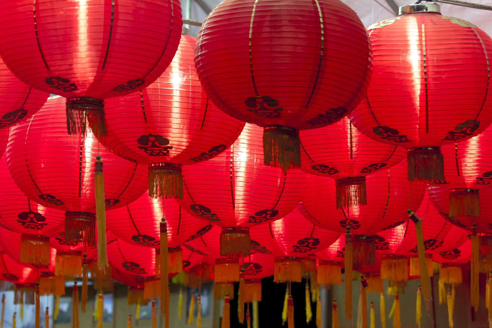 Canon EF 70-200mm F4L IS USM sample photo. Chinese lanterns, chinese new photography