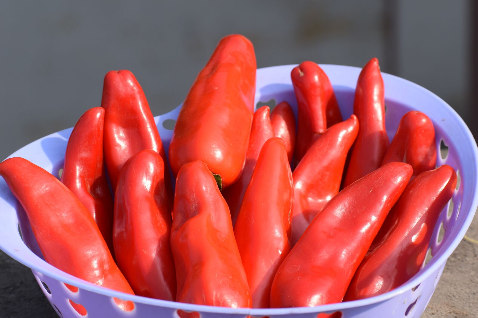 Nikon D3300 sample photo. Chilies, red, chili photography