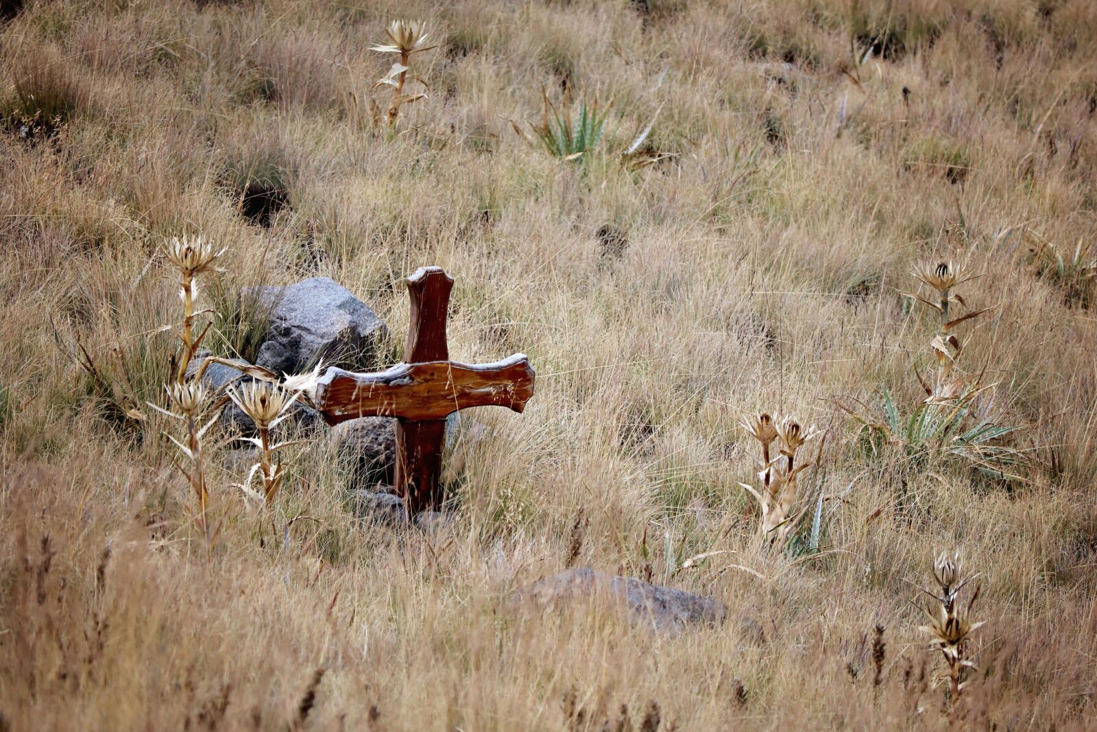 Canon EOS 760D (EOS Rebel T6s / EOS 8000D) sample photo. Grave, cross, stone, hill photography