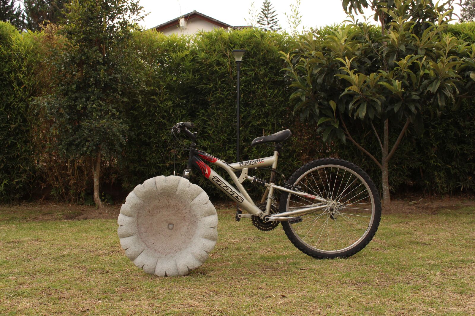 Canon EOS 700D (EOS Rebel T5i / EOS Kiss X7i) sample photo. Bicycle, illusion, green photography