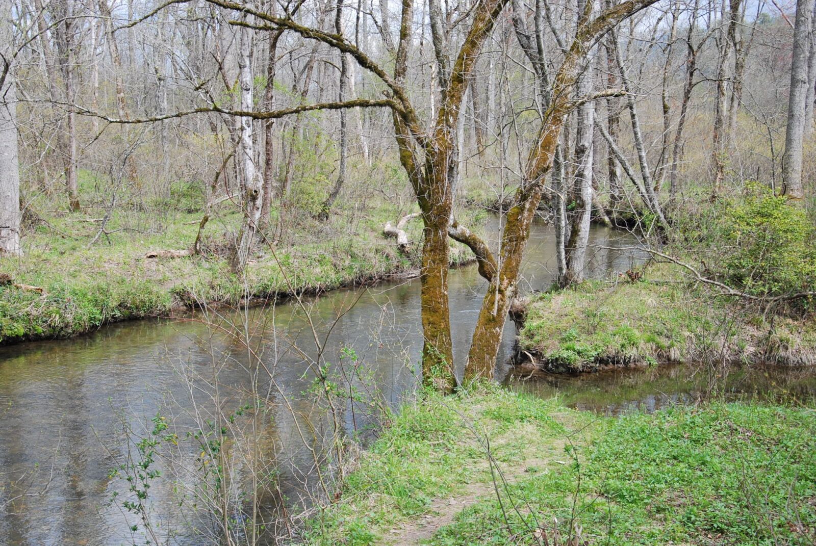 Nikon D60 sample photo. Mountain, stream, river photography