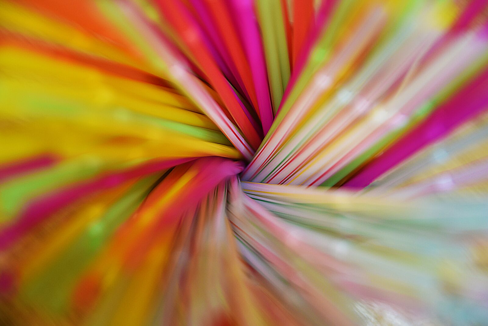 Nikon D750 sample photo. Bright, motley, abstract photography